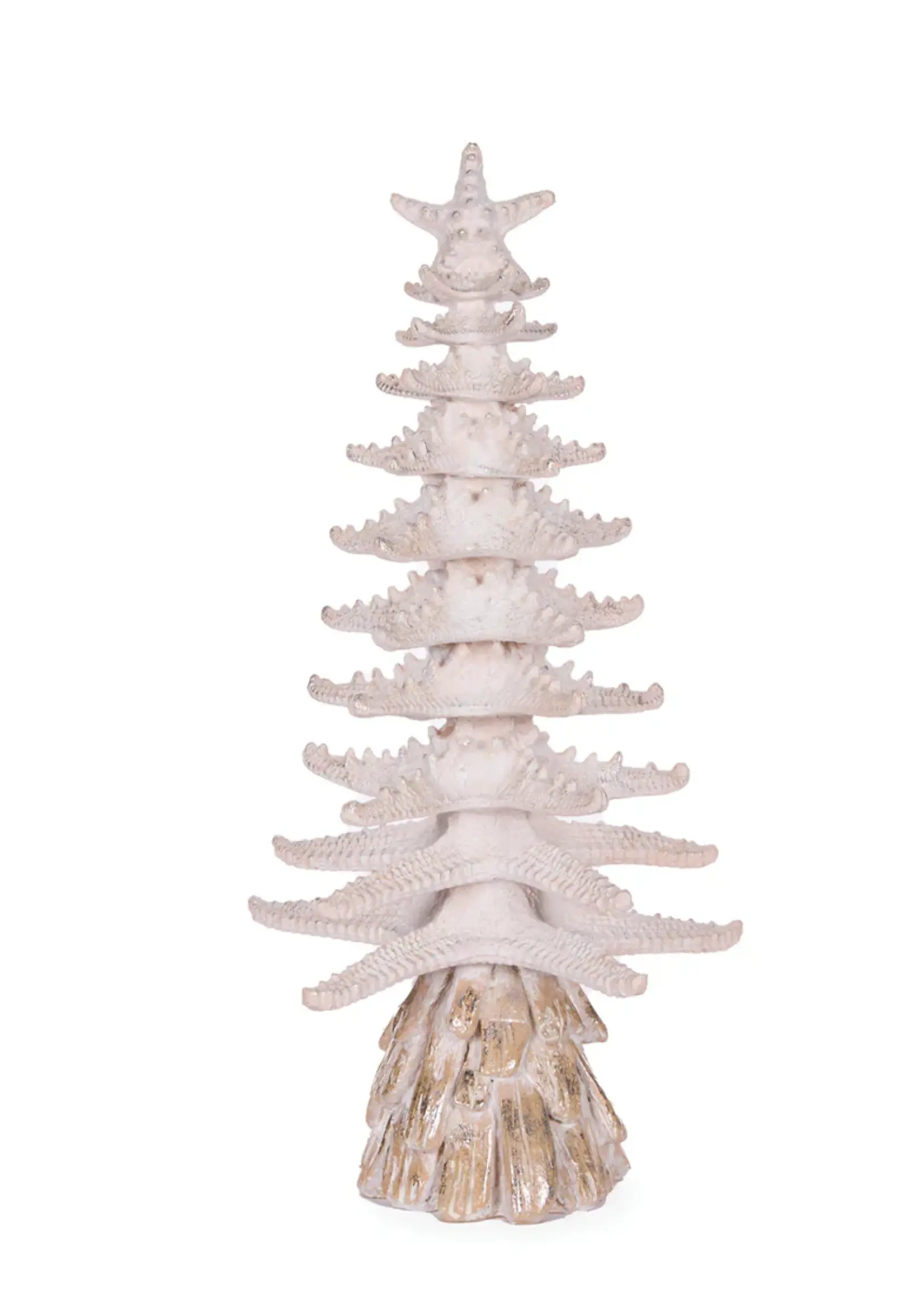 50 Cm Coastal Starfish Tree