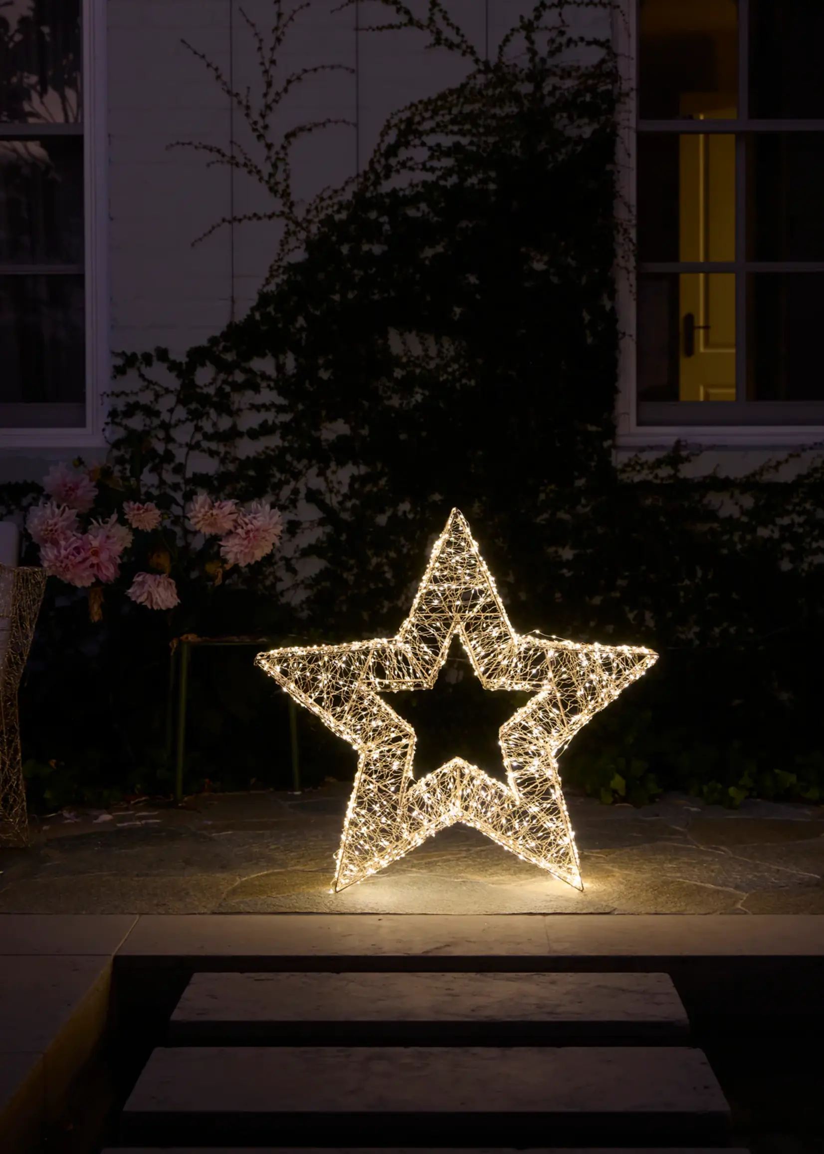 Holly and Ivy 86 Cm Illuminated Star