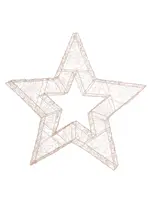 Holly and Ivy 86 Cm Illuminated Star