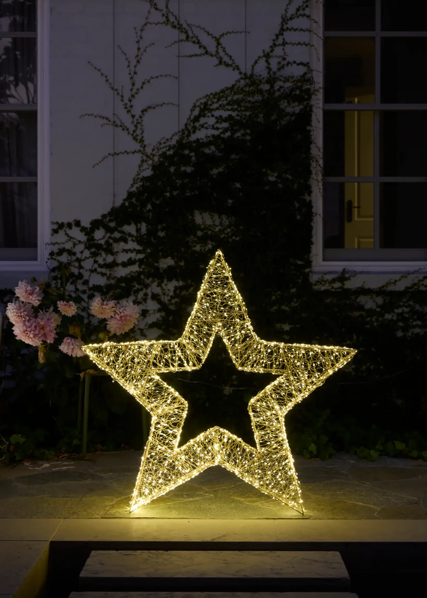 Holly and Ivy 112 Cm Led Illuminated Star