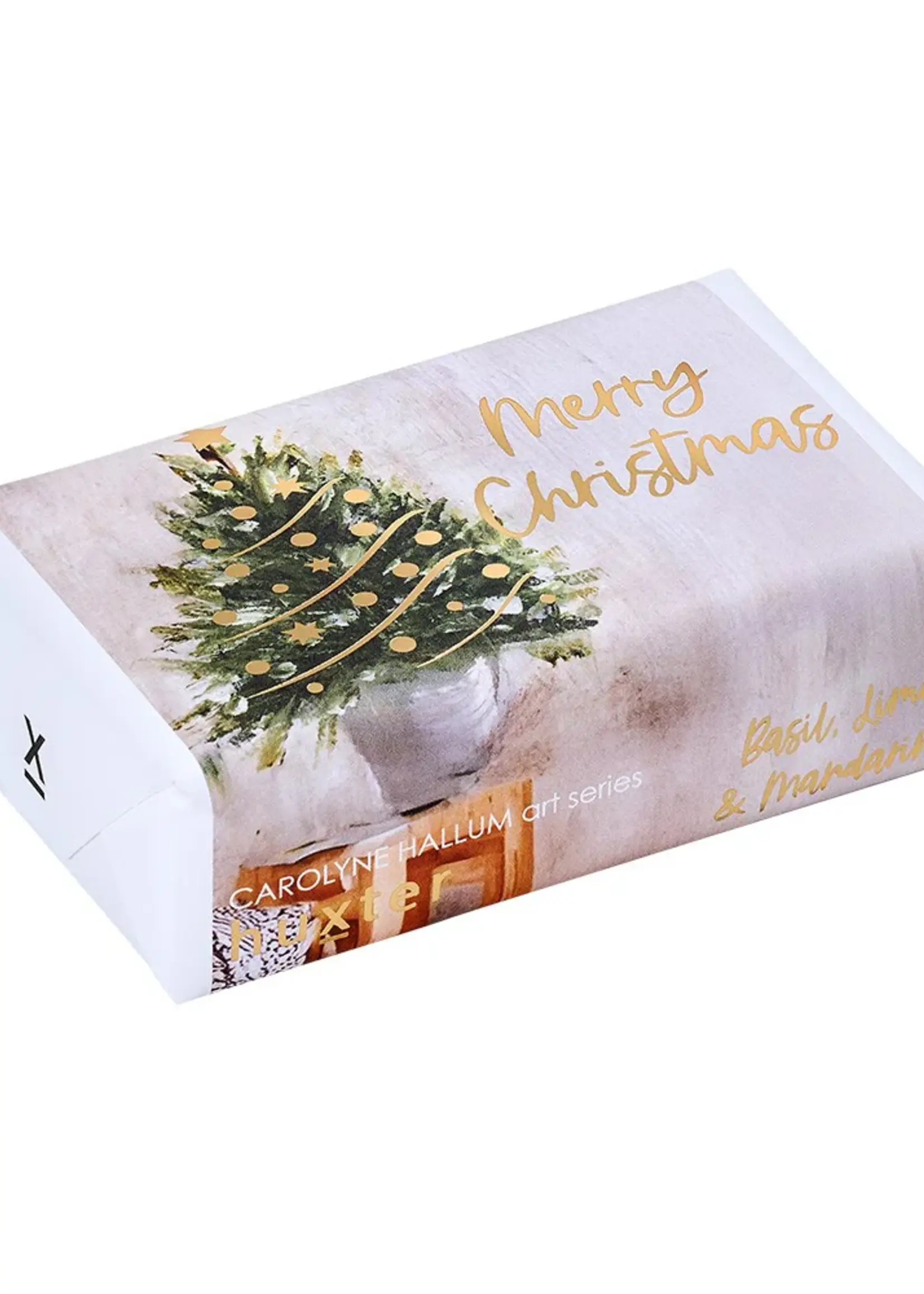 Merry Christmas - Tree in a Pot