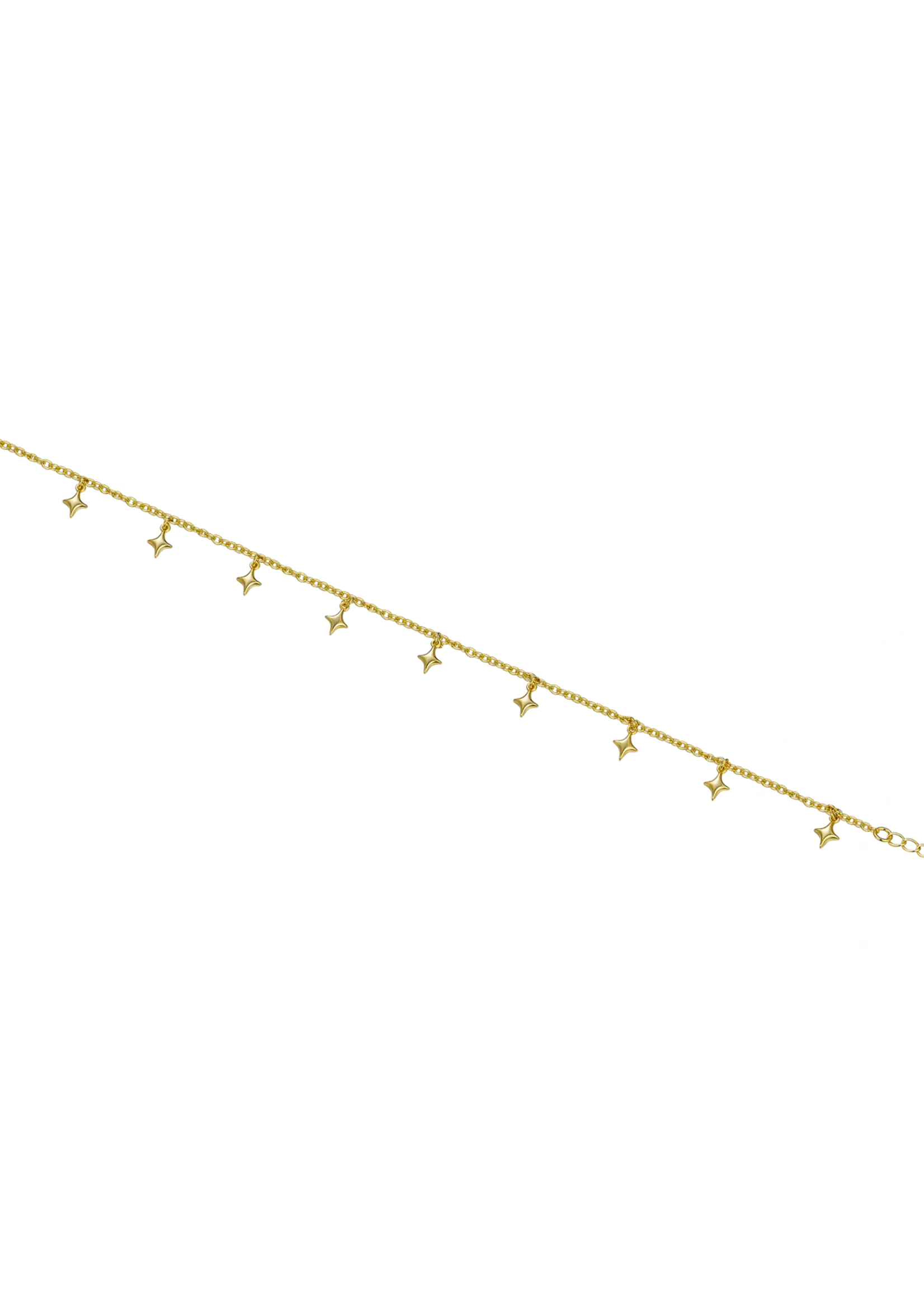 Lion Wild Asteria Anklet