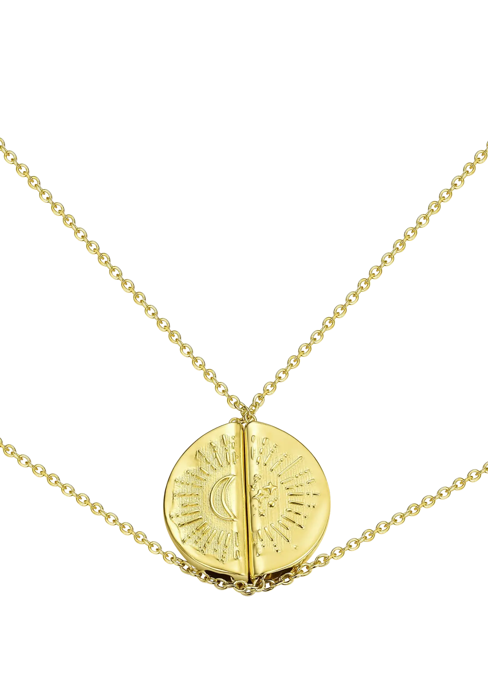 Lion Wild Other Half Necklaces - Pair