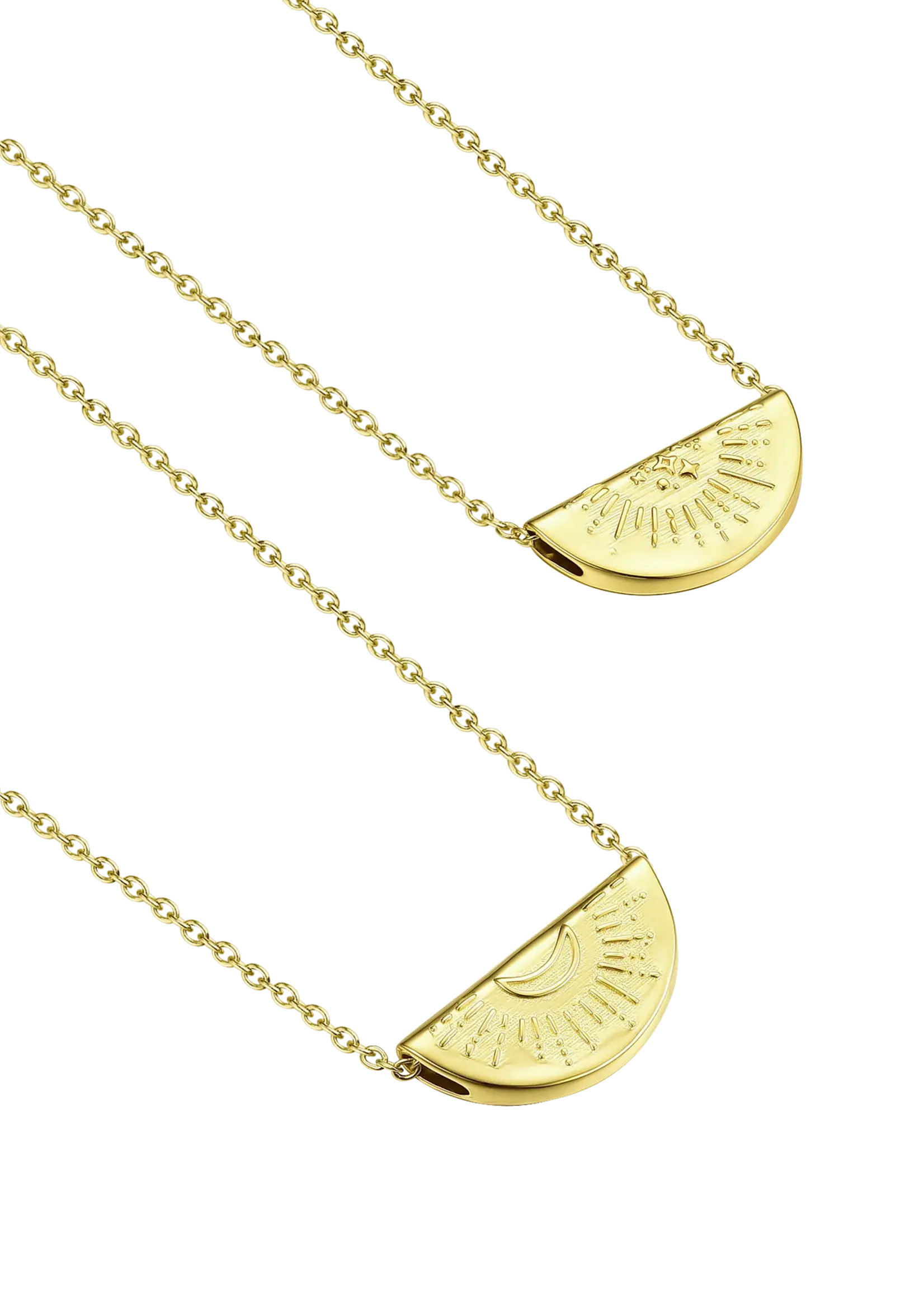 Lion Wild Other Half Necklaces - Pair