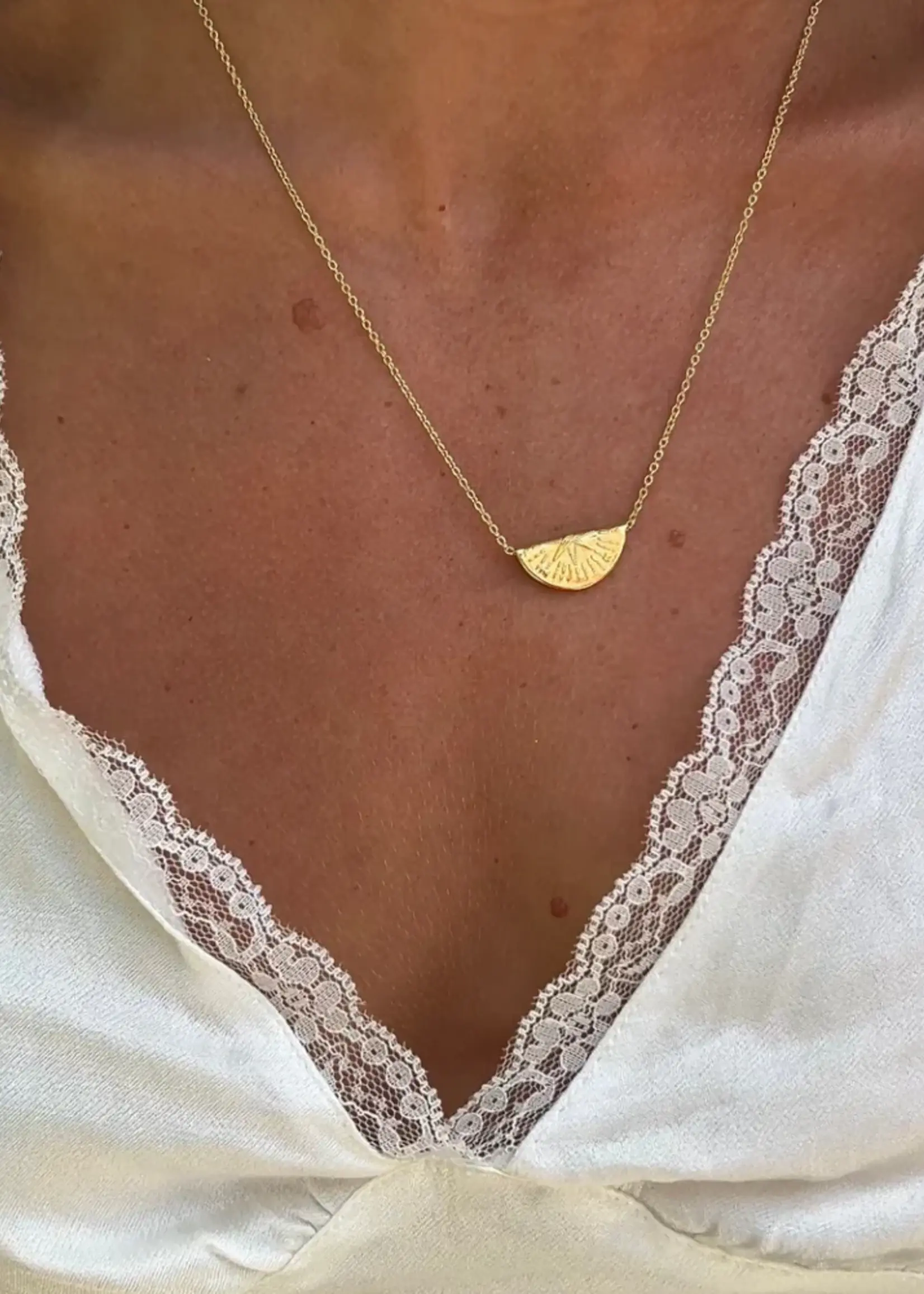 Lion Wild Wayfinder Necklaces - Gold Plated Pair