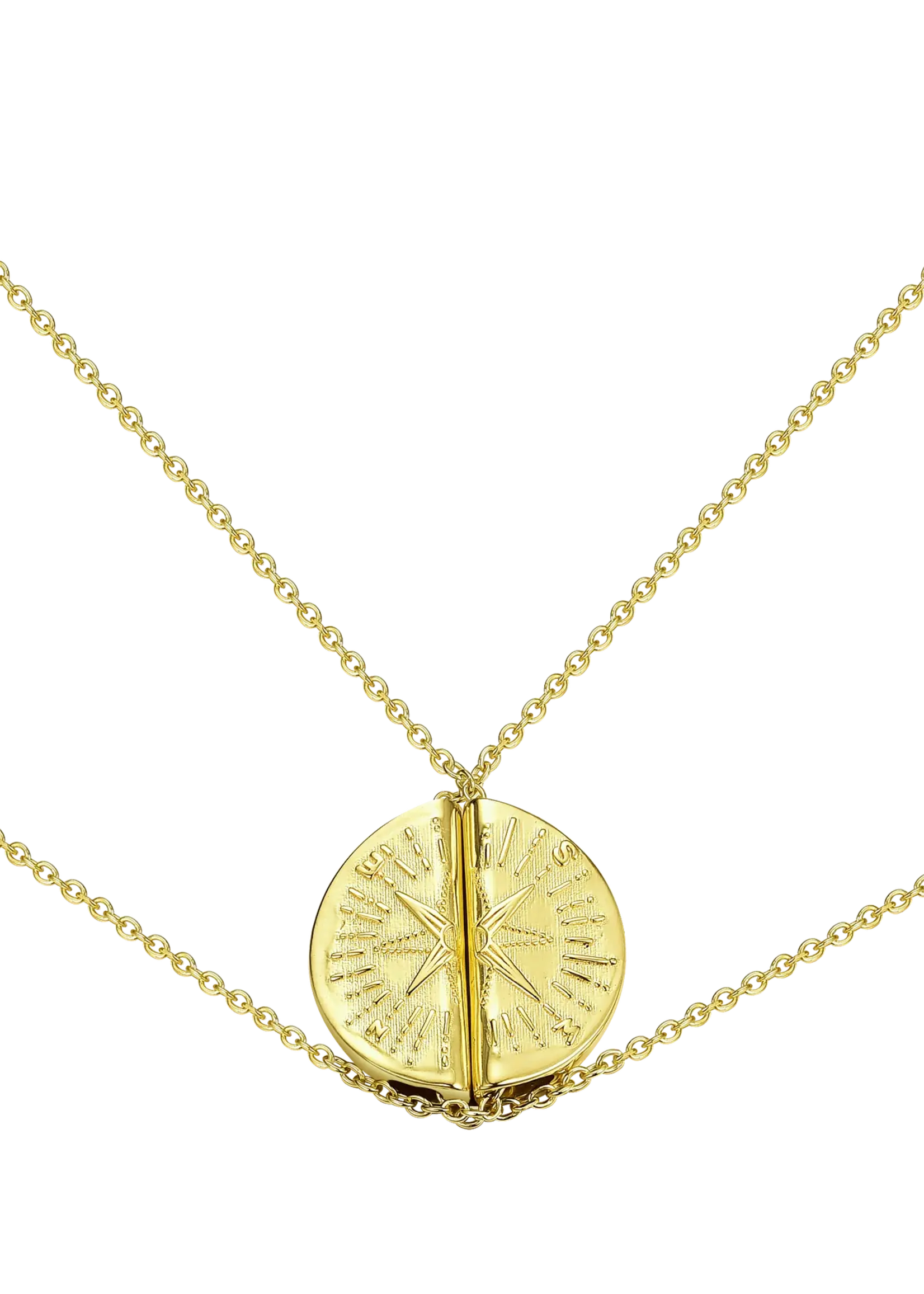 Lion Wild Wayfinder Necklaces - Gold Plated Pair