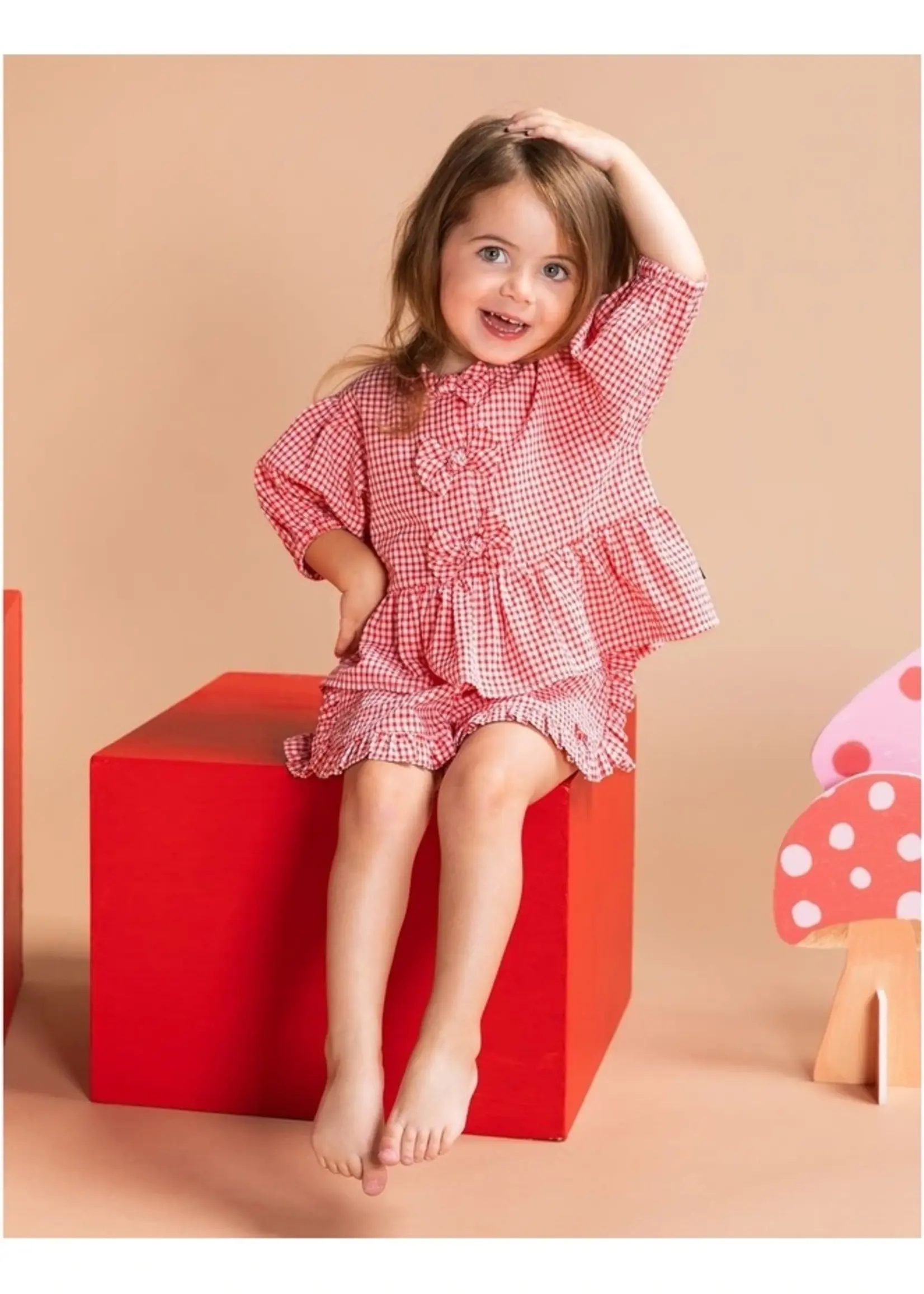 Animal Crackers Checkered Top