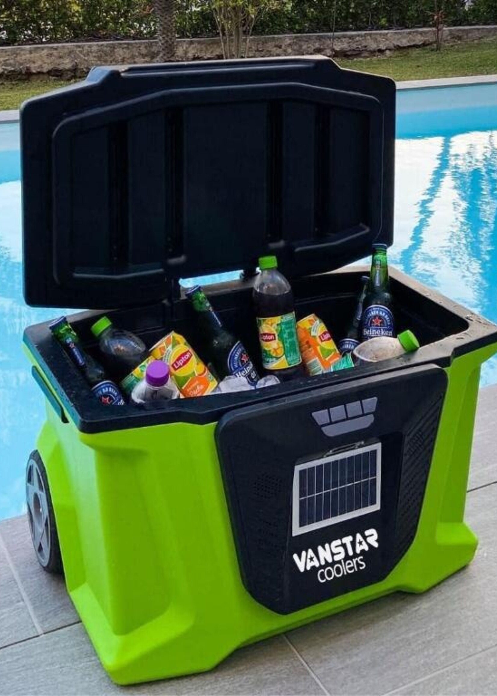 Big Daddy Cooler