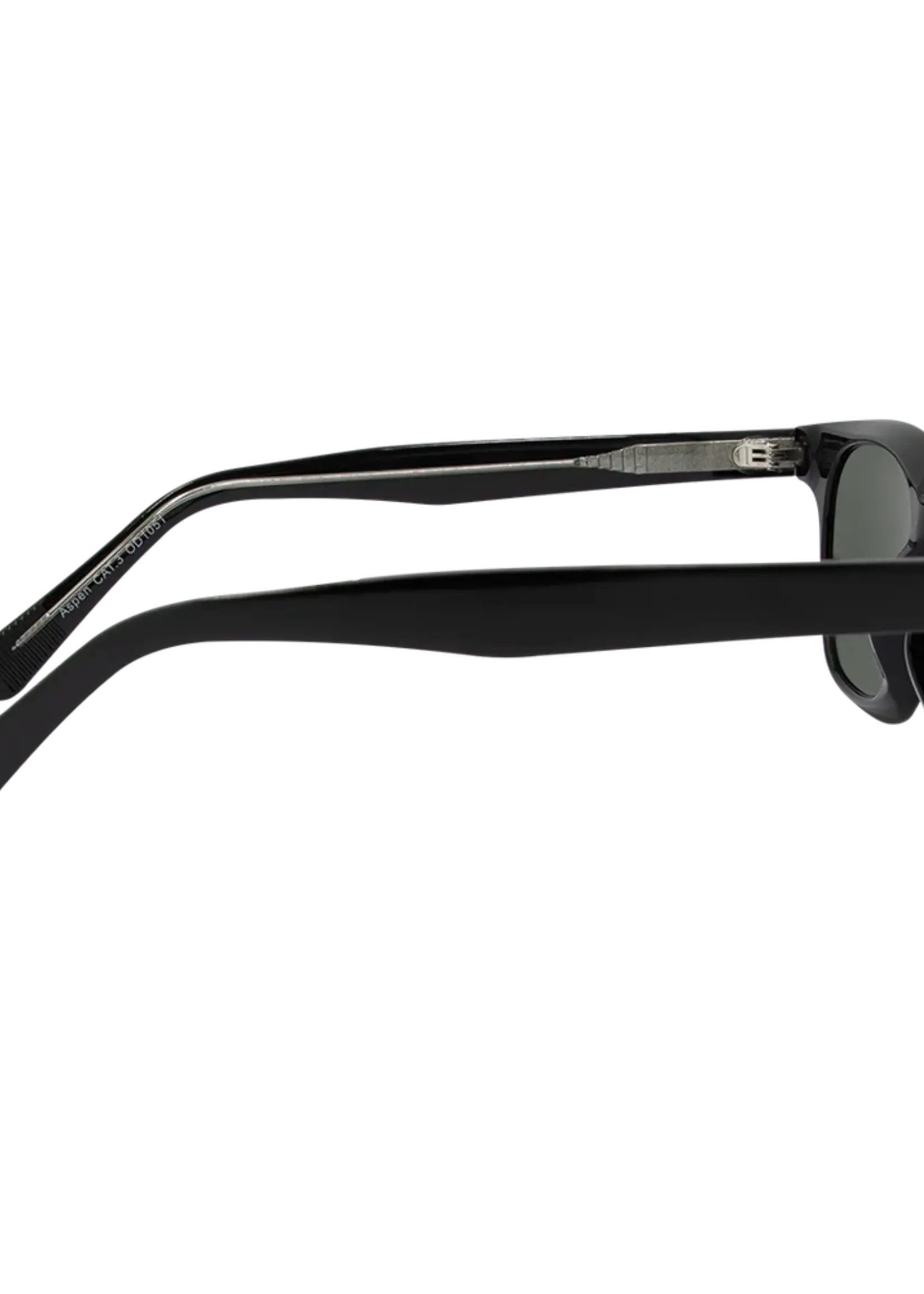 One Day Aspen Sunglasses - Black G15