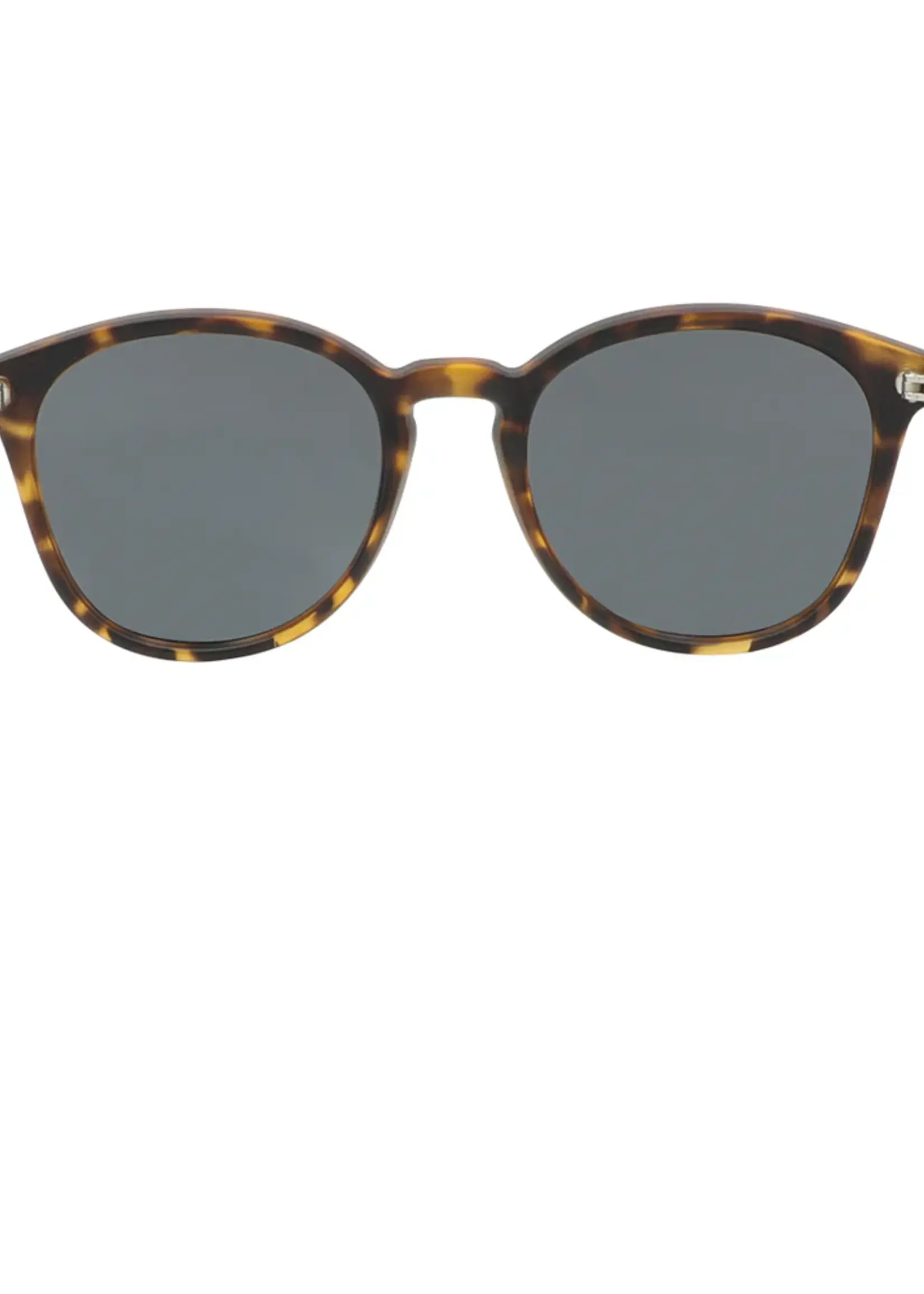 Sin Eyewear Risky Business Sunglasses - Tort Smoke