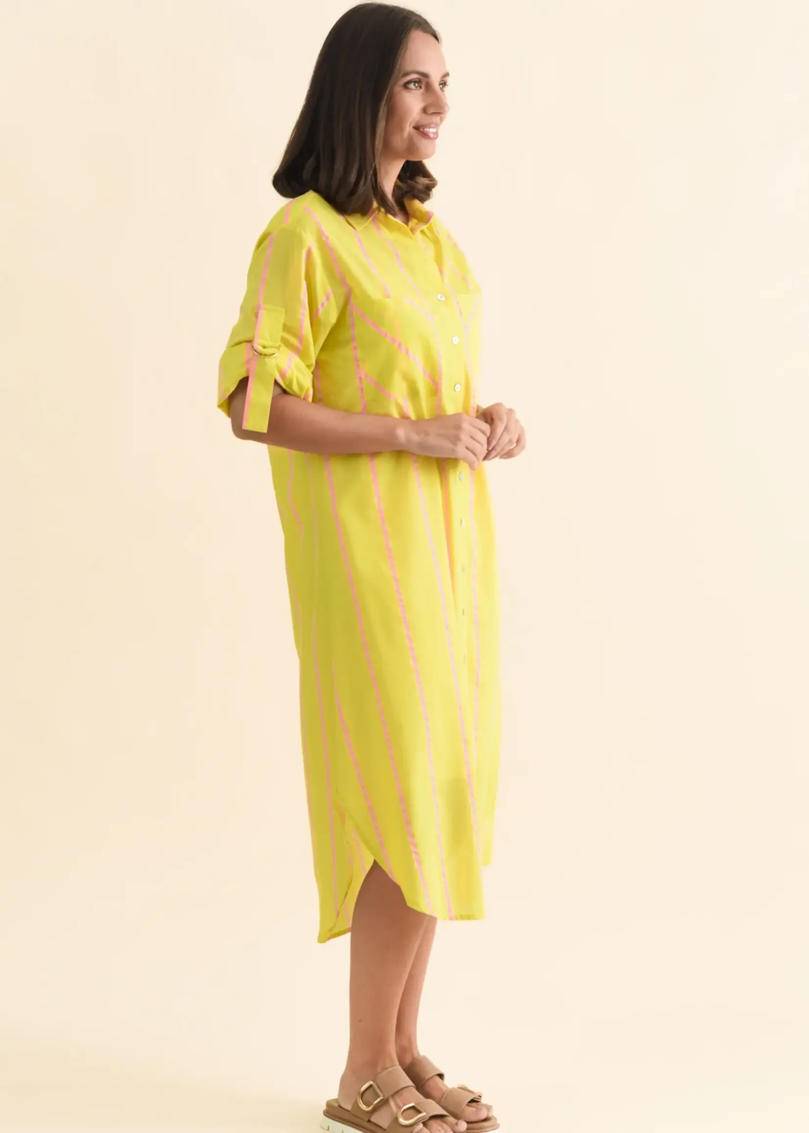 Betty Basic Hayman Shirt Dress