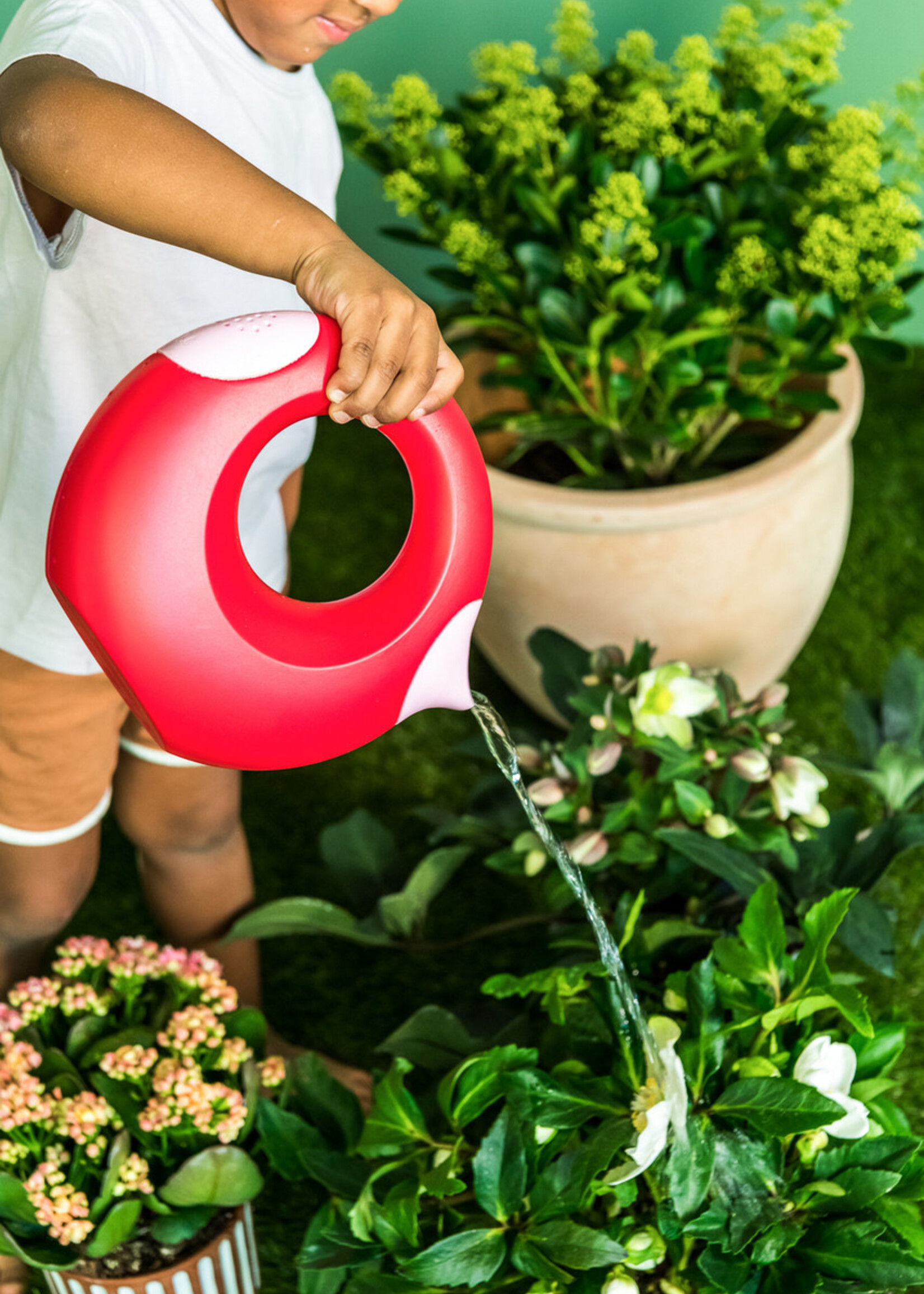 Quut Cana Large - Cherry