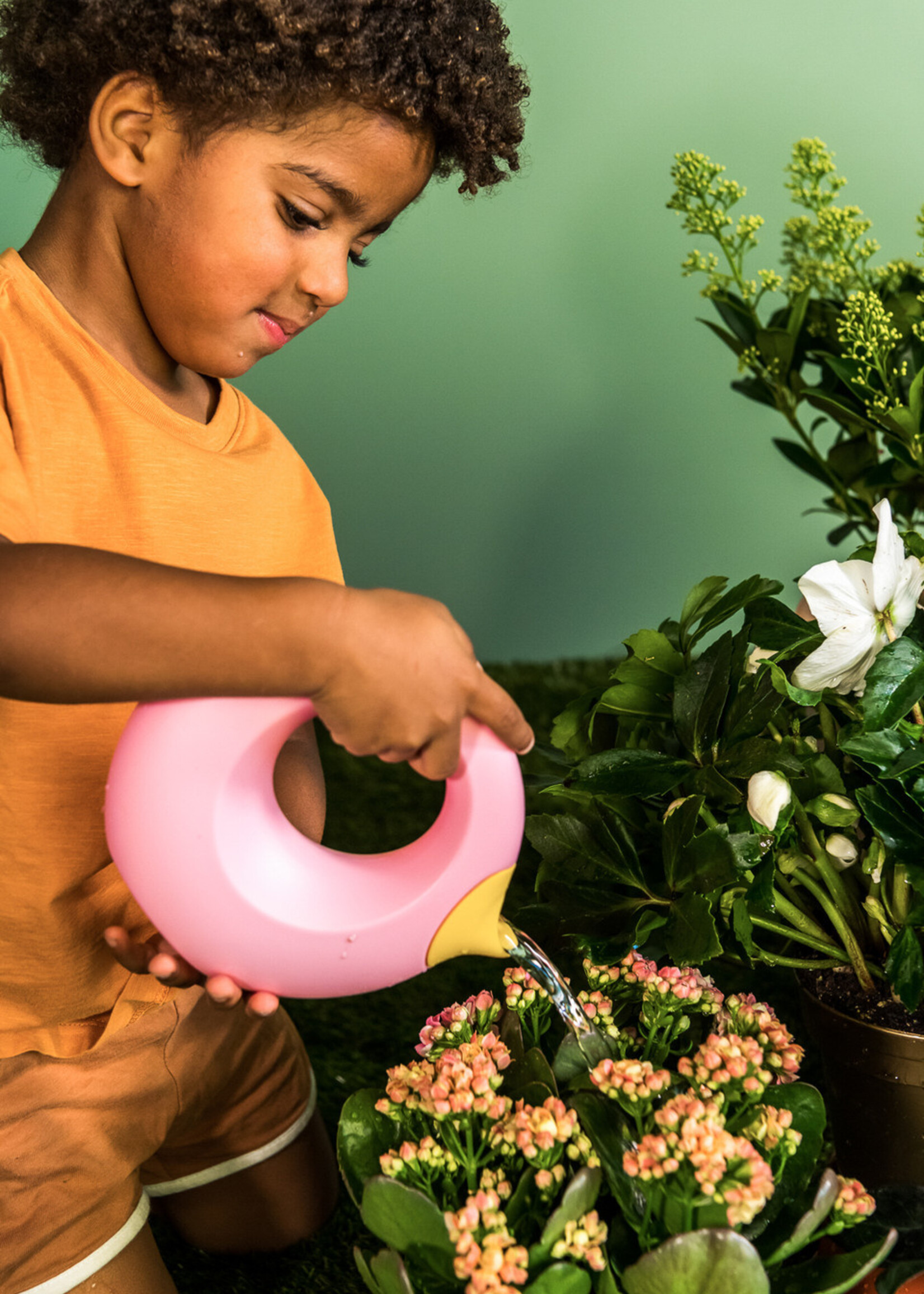 Quut Cana Small - Banana Pink