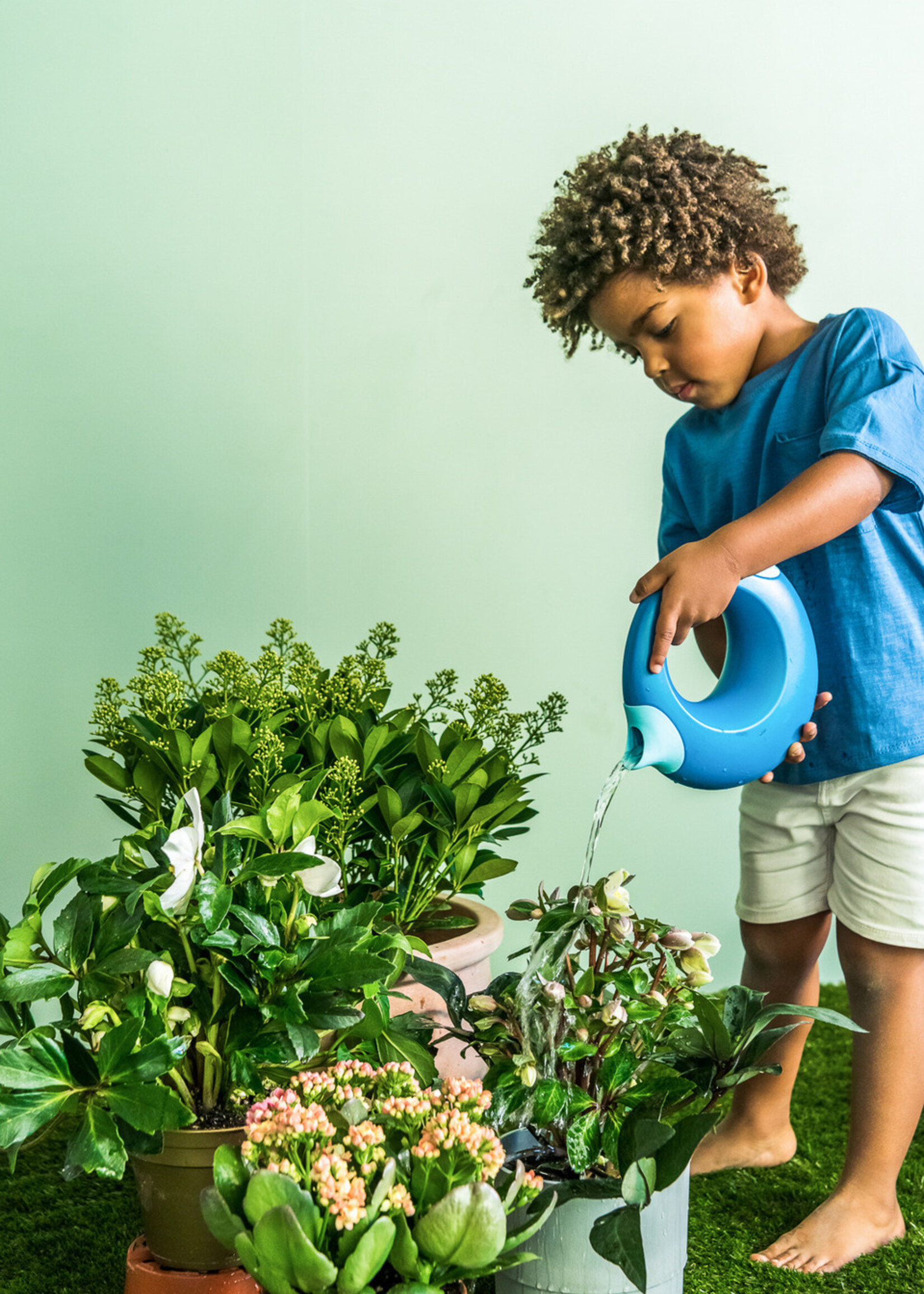 Quut Cana Large - Ocean