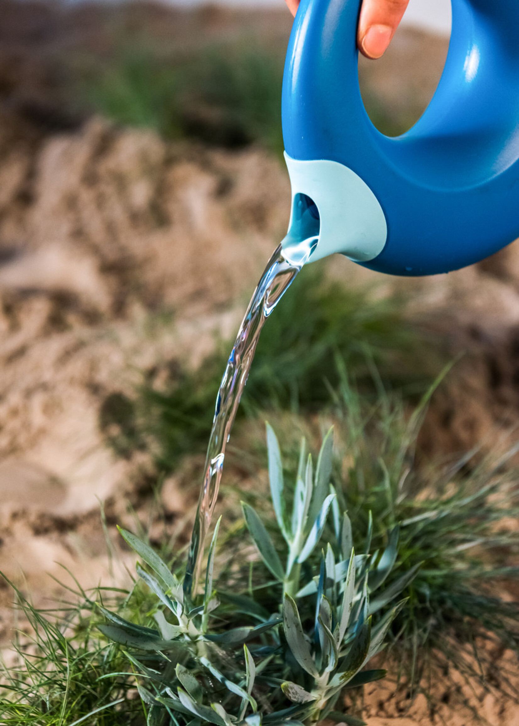 Quut Cana Large - Ocean