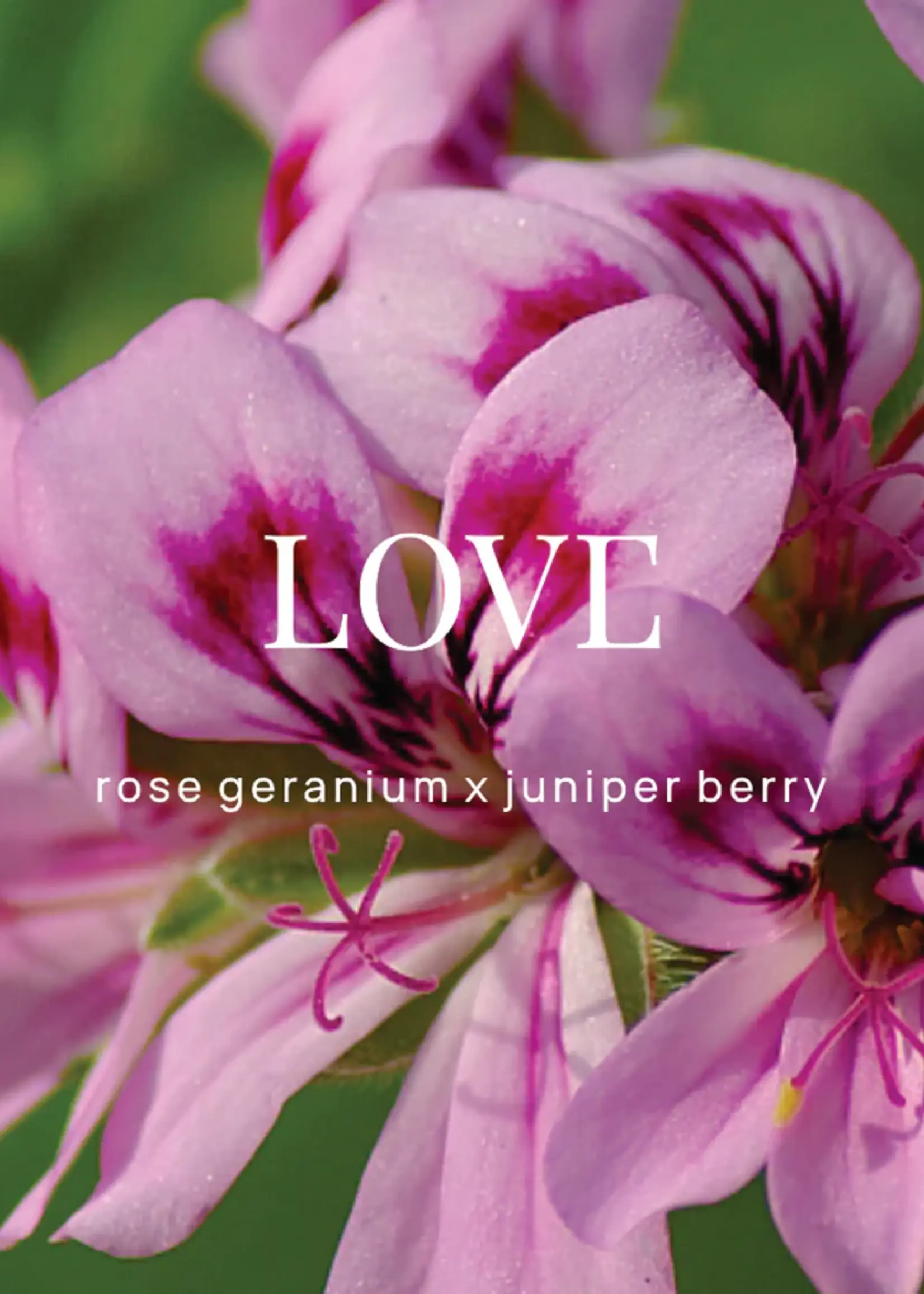 Wild Emery Love Shower Steamer