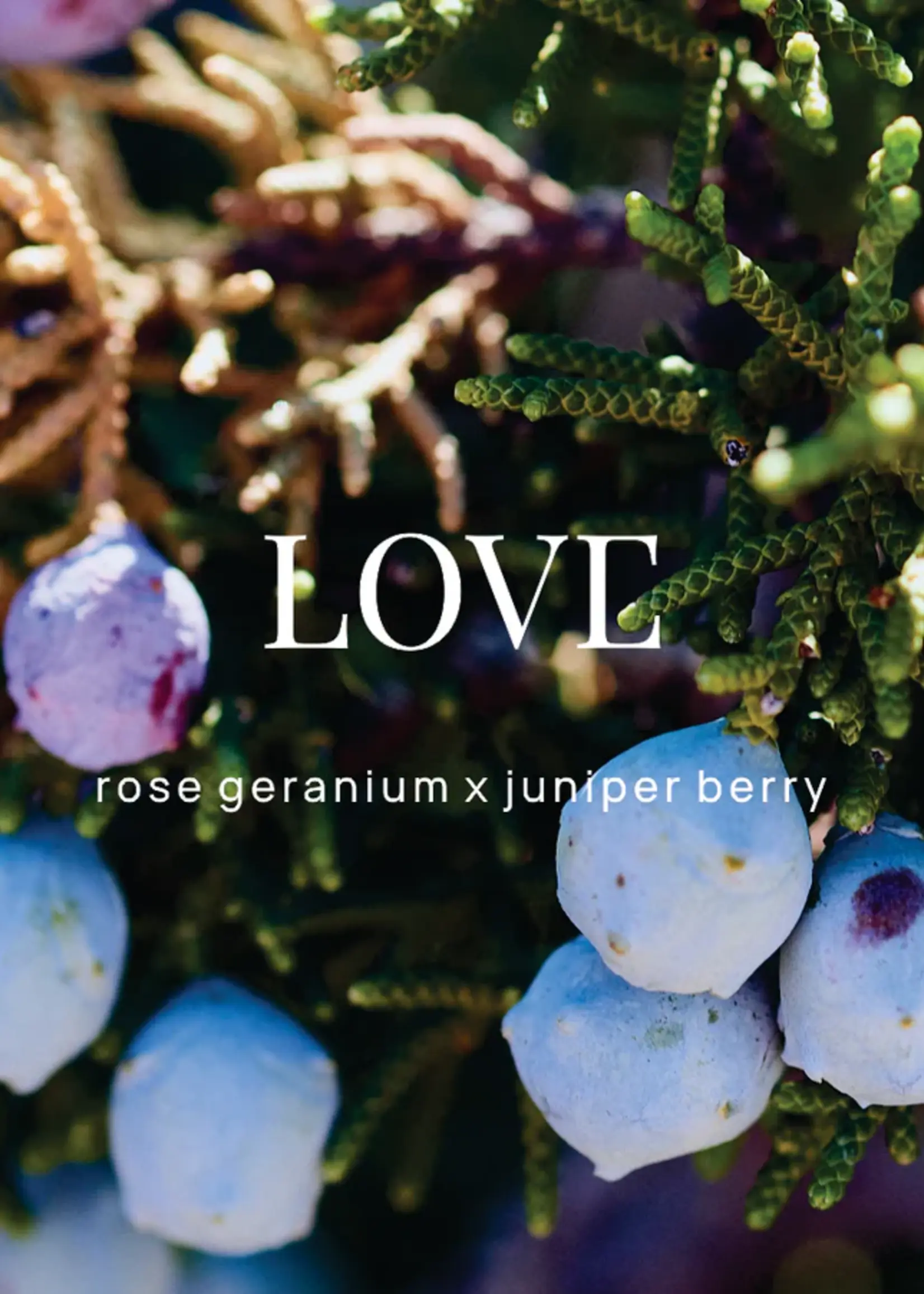 Wild Emery Love Shower Steamer