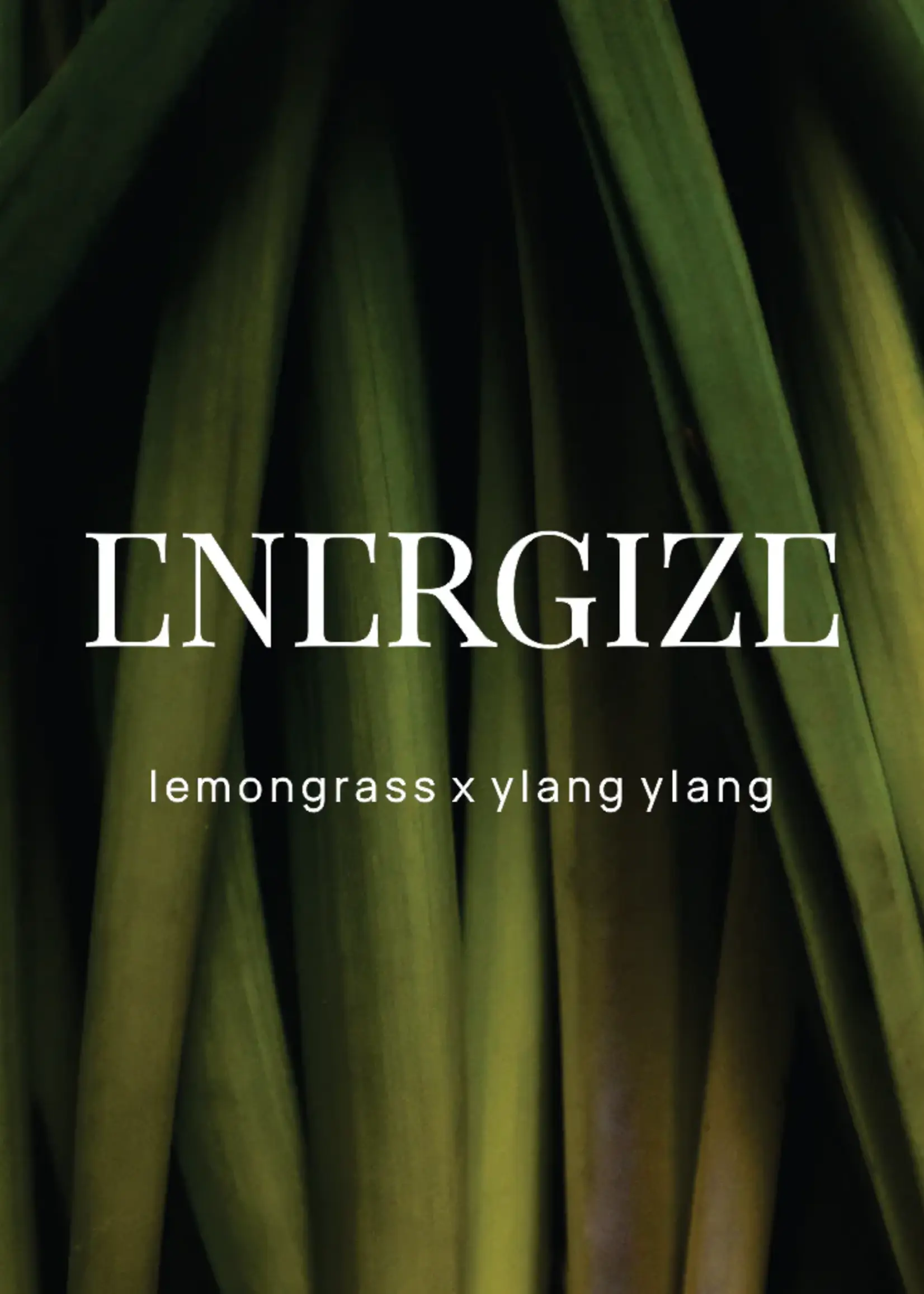 Wild Emery Energize Shower Steamer