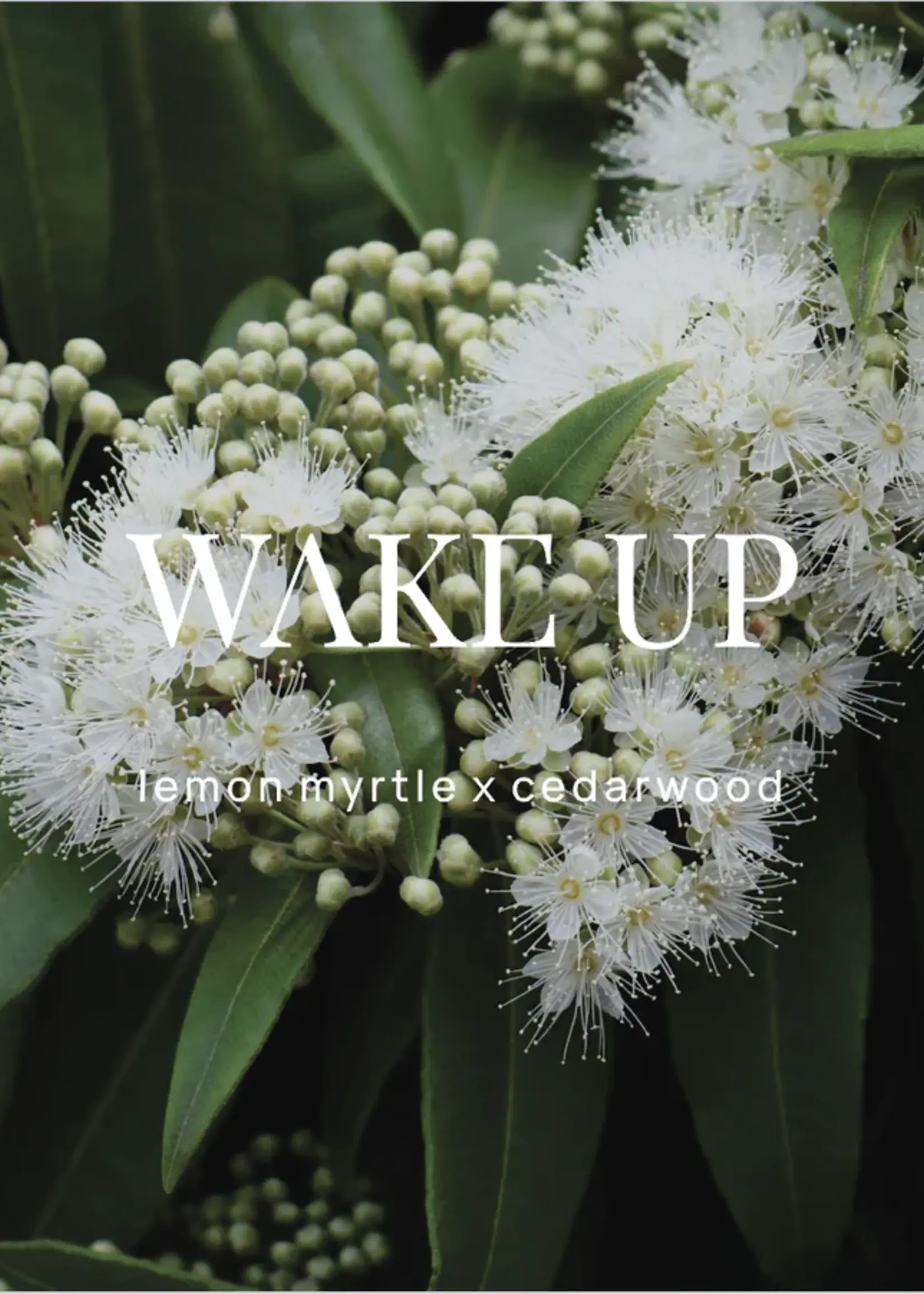 Wild Emery Wake Up Shower Steamer