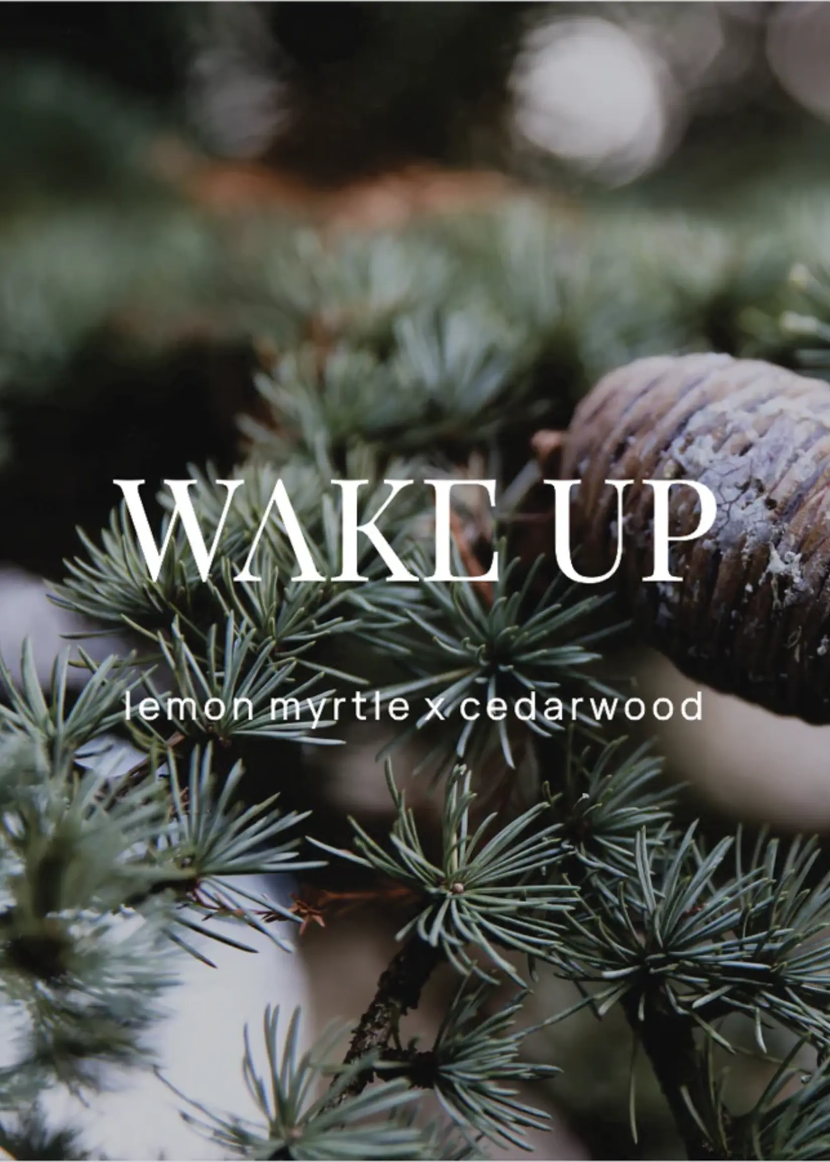 Wild Emery Wake Up Shower Steamer