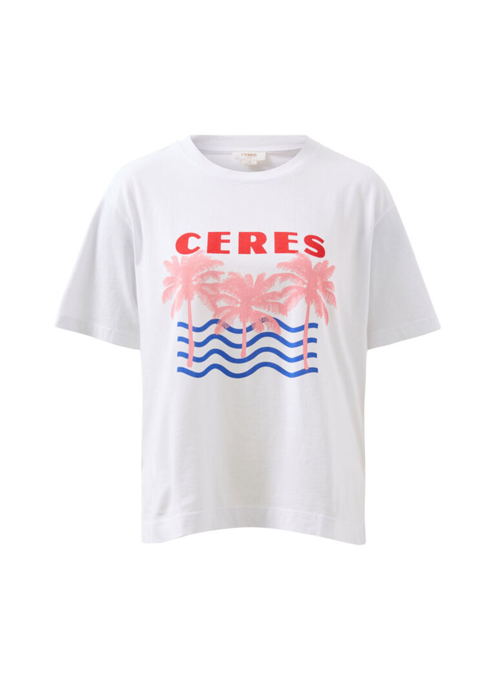 Ceres Life Stevie Slouchy Tee - Retro Palms