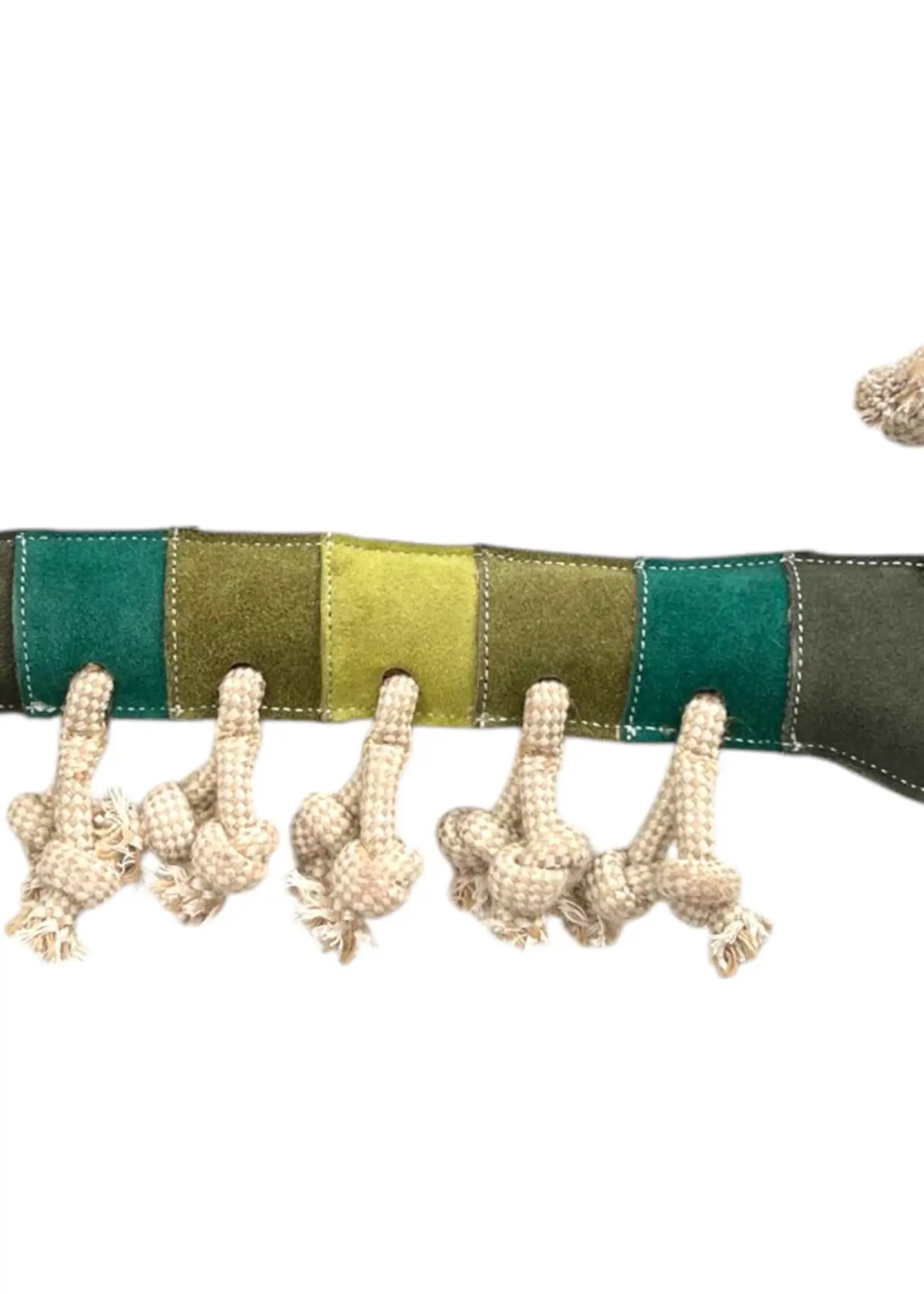 Georgie Paws Gerti Greeny Grub