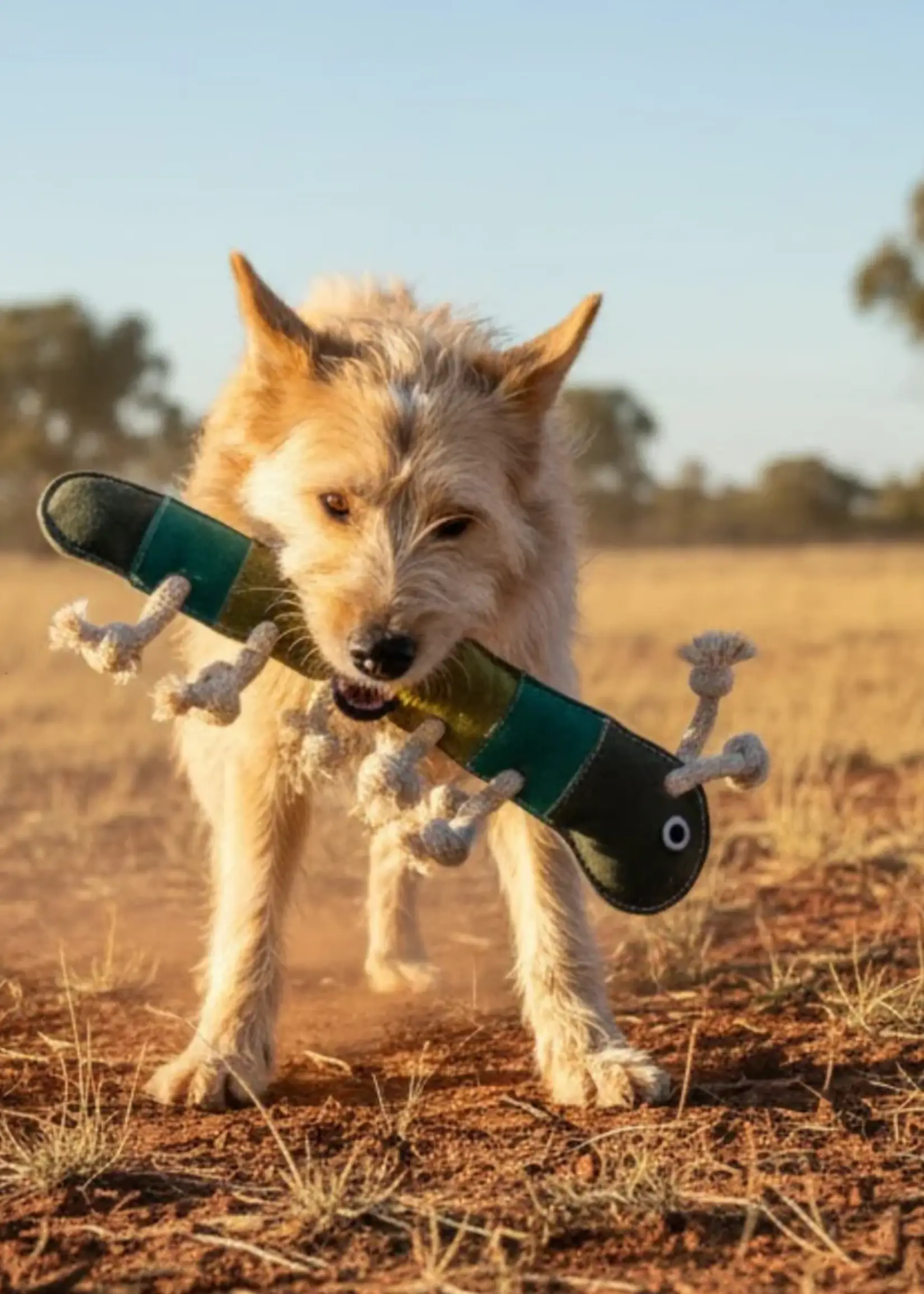 Georgie Paws Gerti Greeny Grub