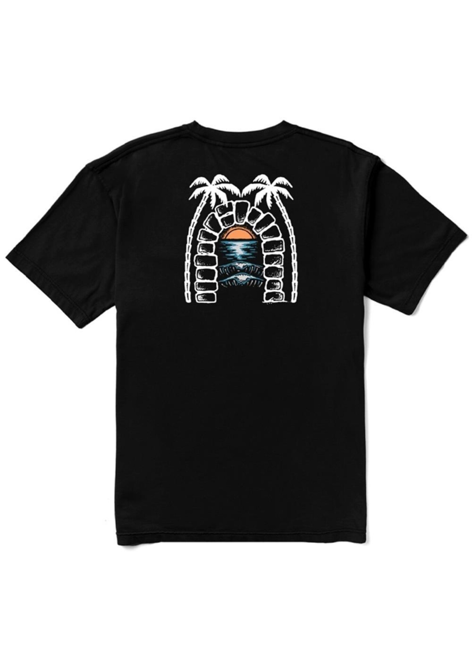 Vissla Archwaves Organic Blend Boys SS Tee - Black