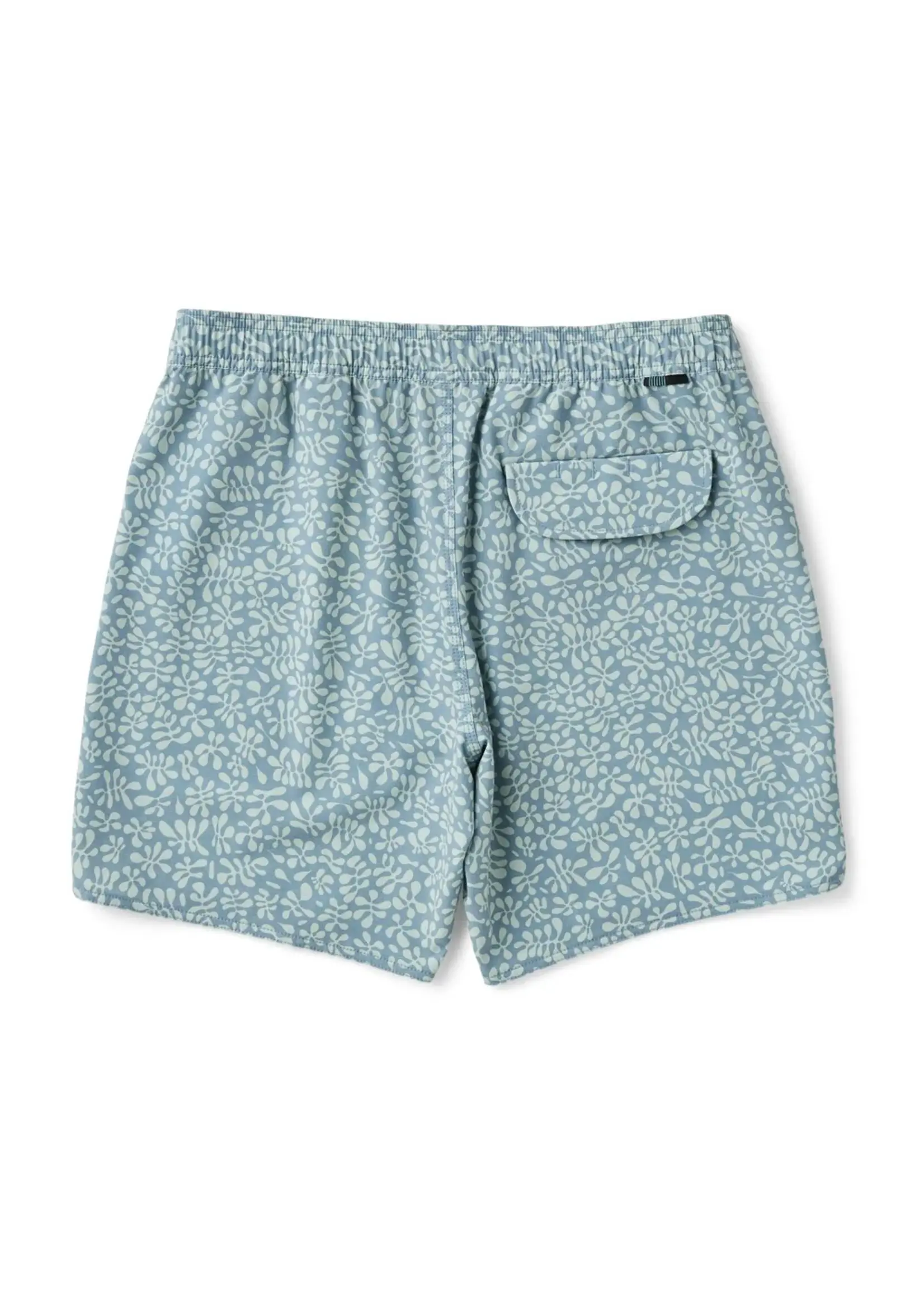 Vissla Jardin 16" Boys Ecolastic - Blue Slate