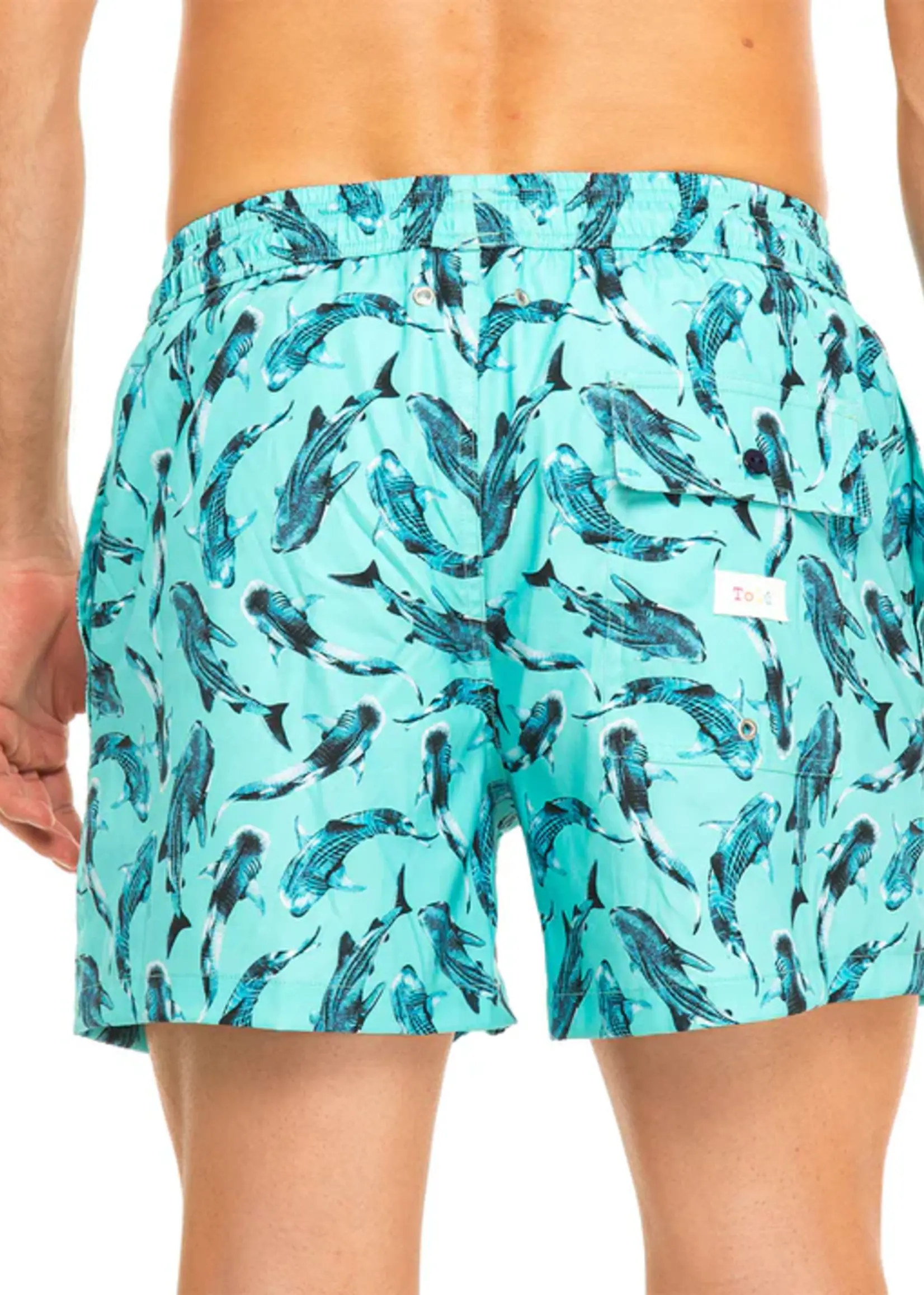 tolu Blue Whale Shark Mens Swim Shorts