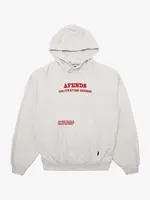 Afends Wonders Boxy Pull On Hood - Grey Marle