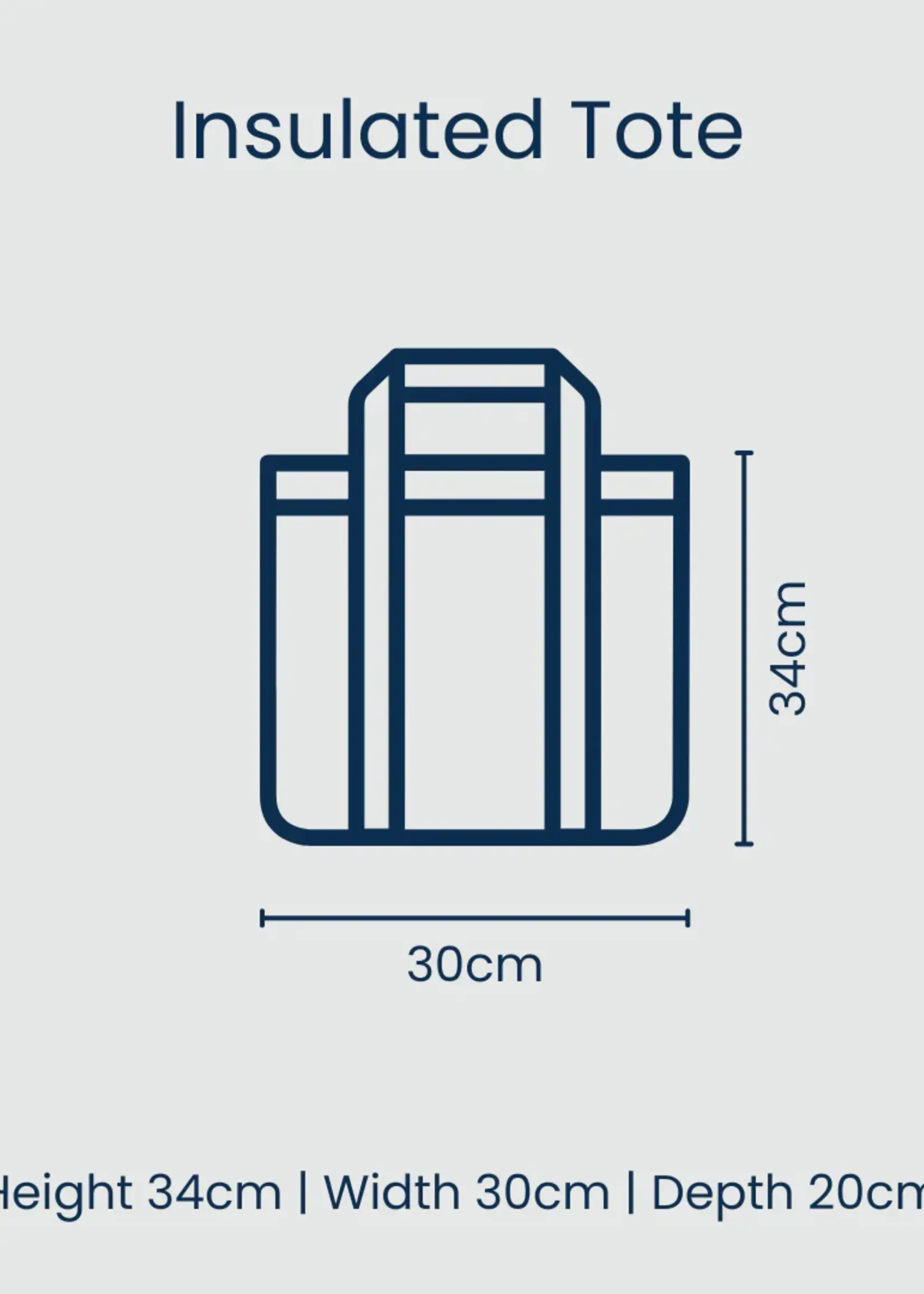 Medium Insulated Tote - Sardine