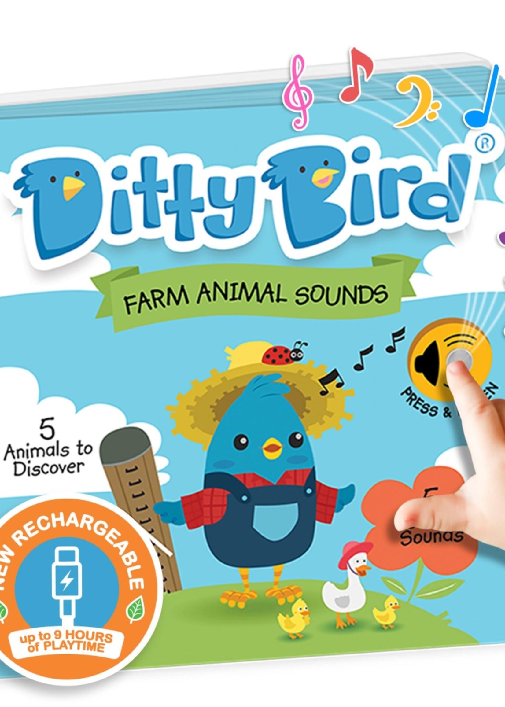 Isalbi Ditty Bird