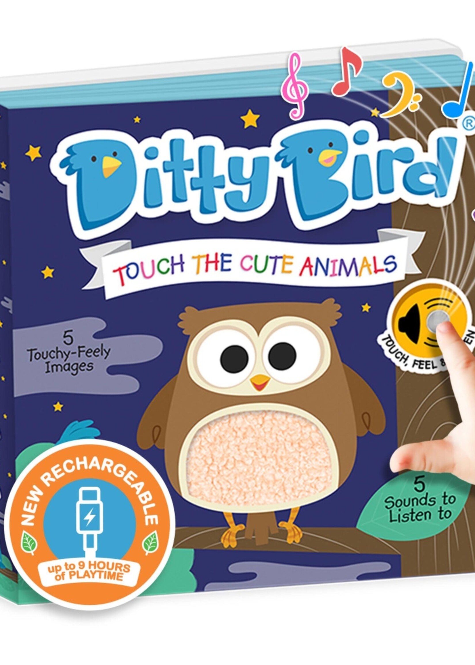 Isalbi Ditty Bird
