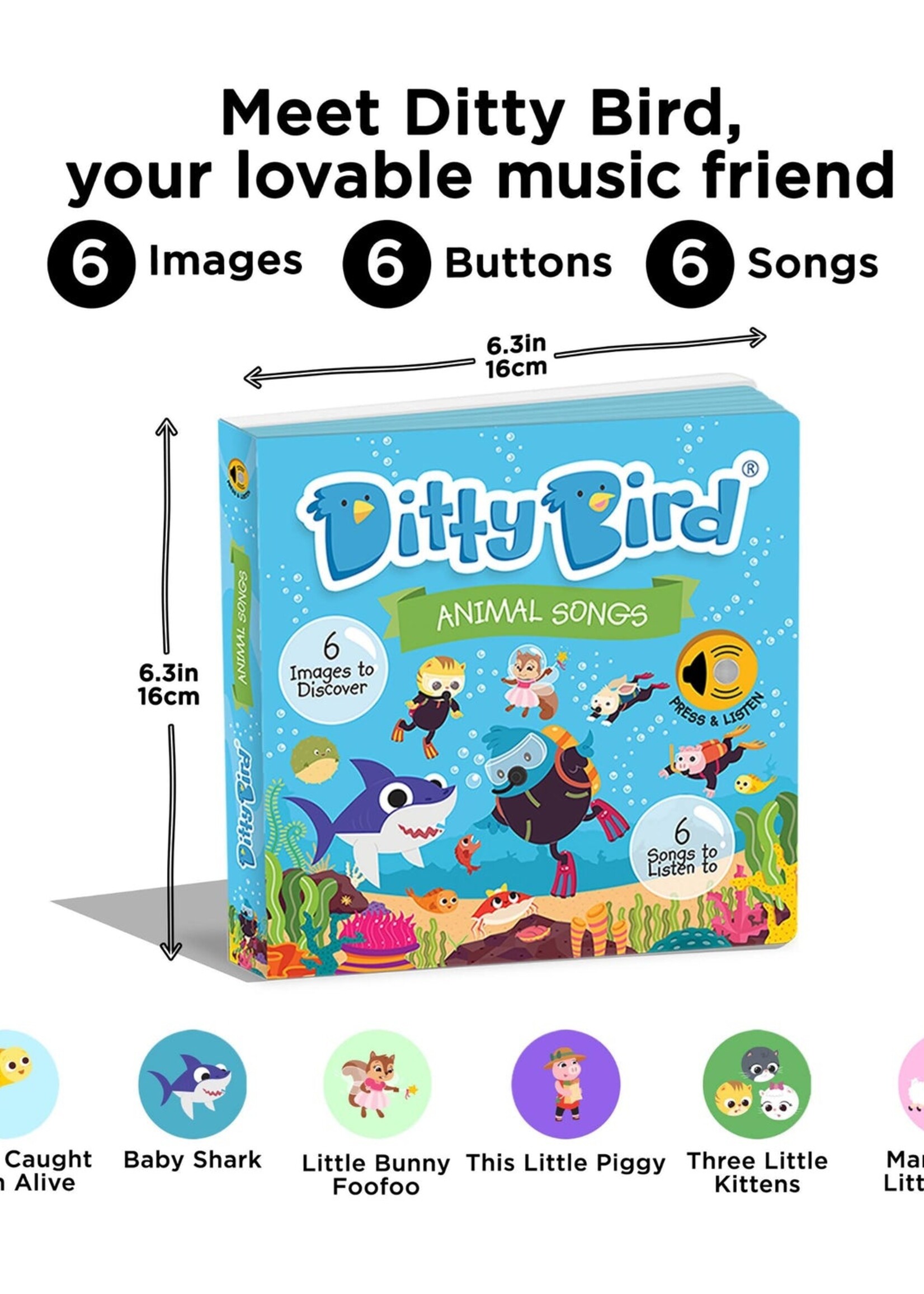 Isalbi Ditty Bird