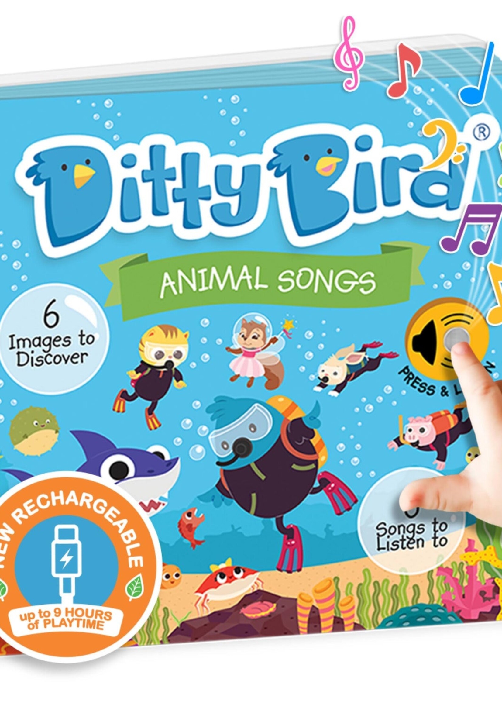 Isalbi Ditty Bird