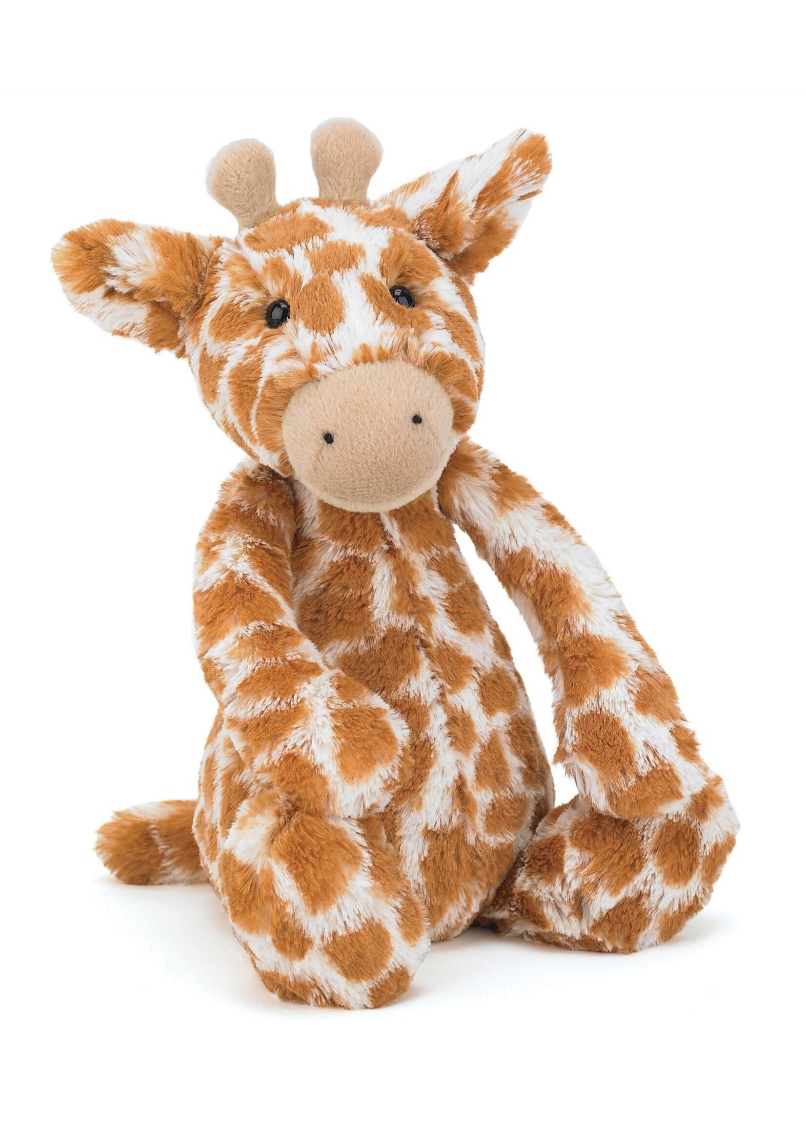 Bashful Giraffe Orginal Med