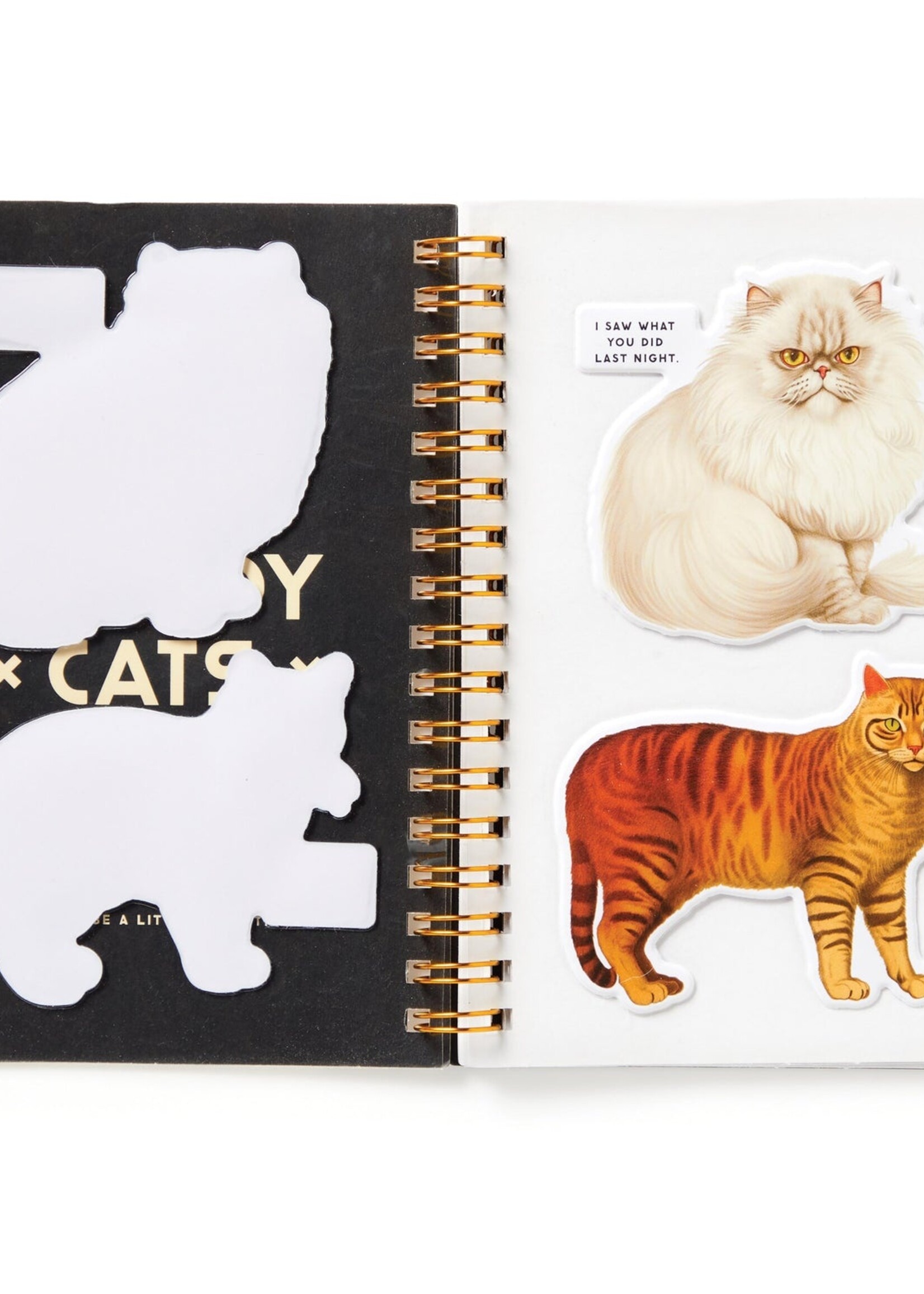 Moody Cats Sticker Book