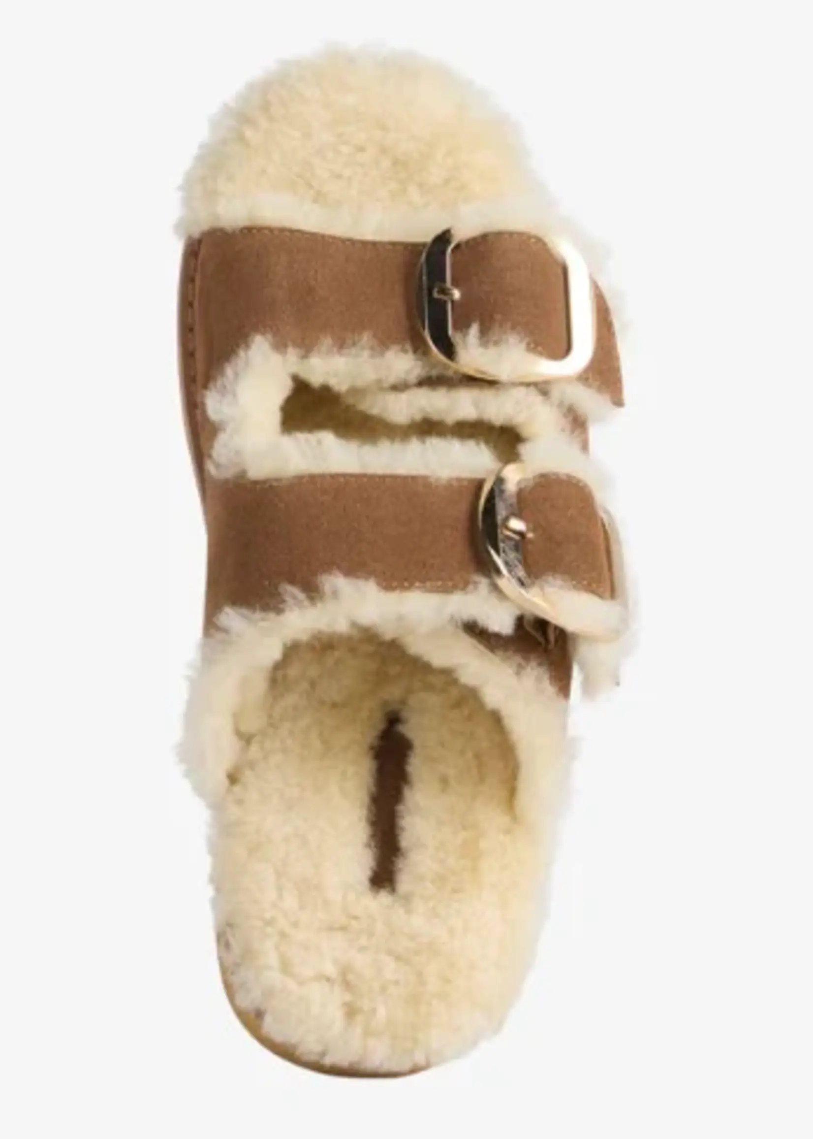 Cabello Chestnut/Chestnut