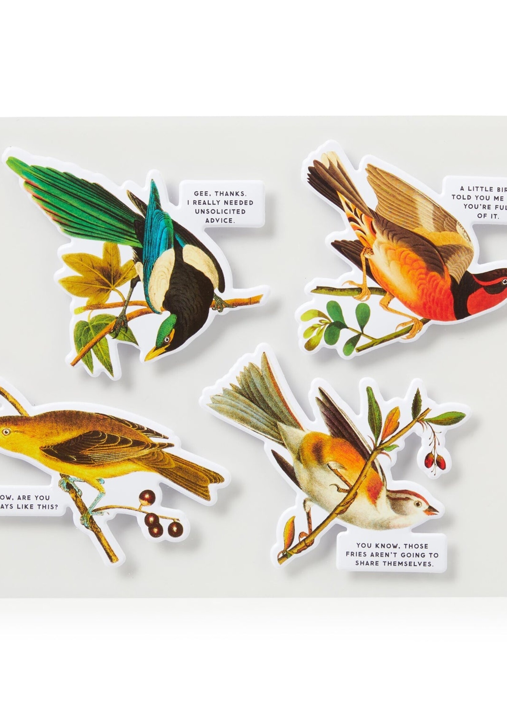 Isalbi Salty Birds - 1000pc