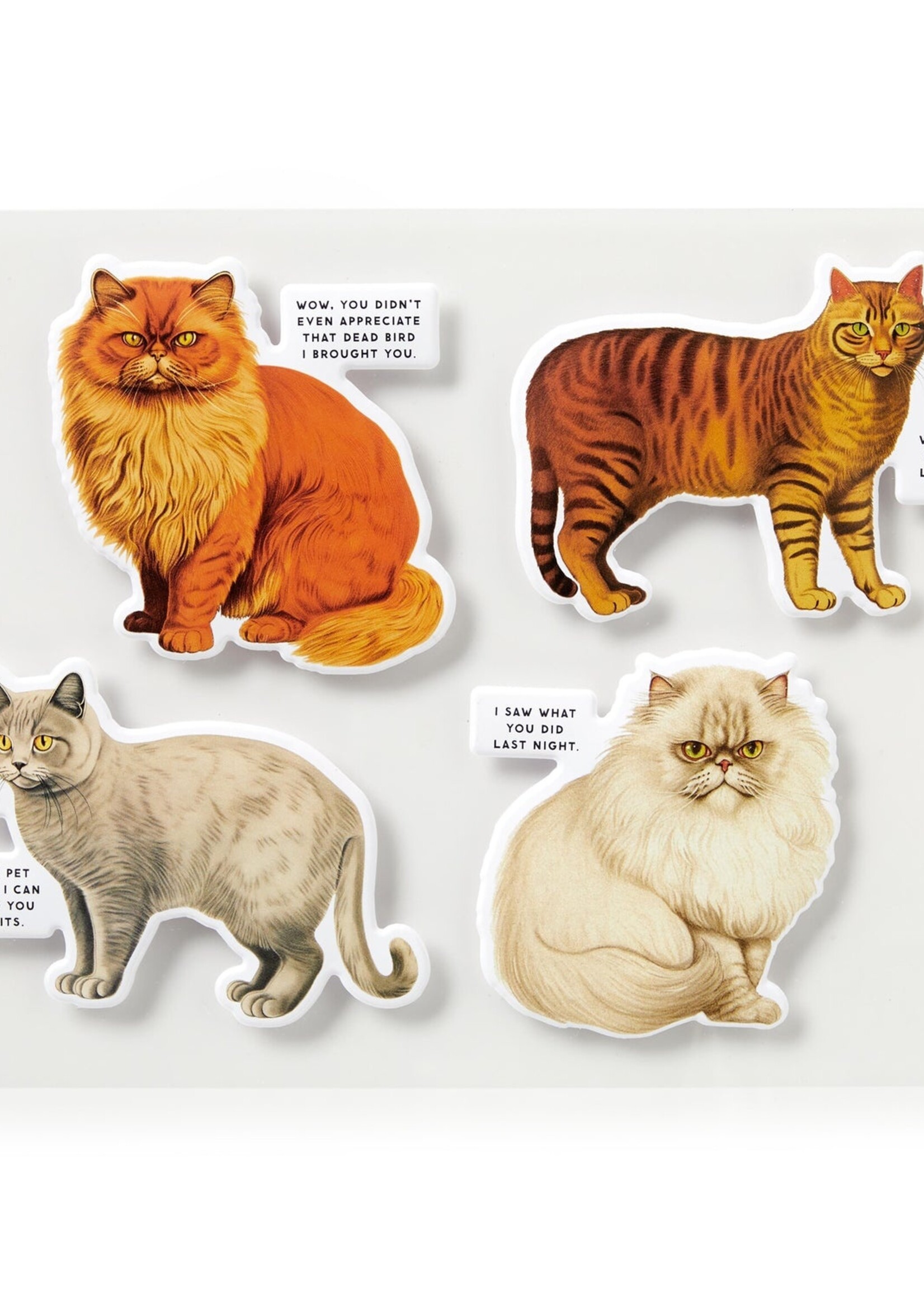 Isalbi Moody Cats Puzzle - 1000pc