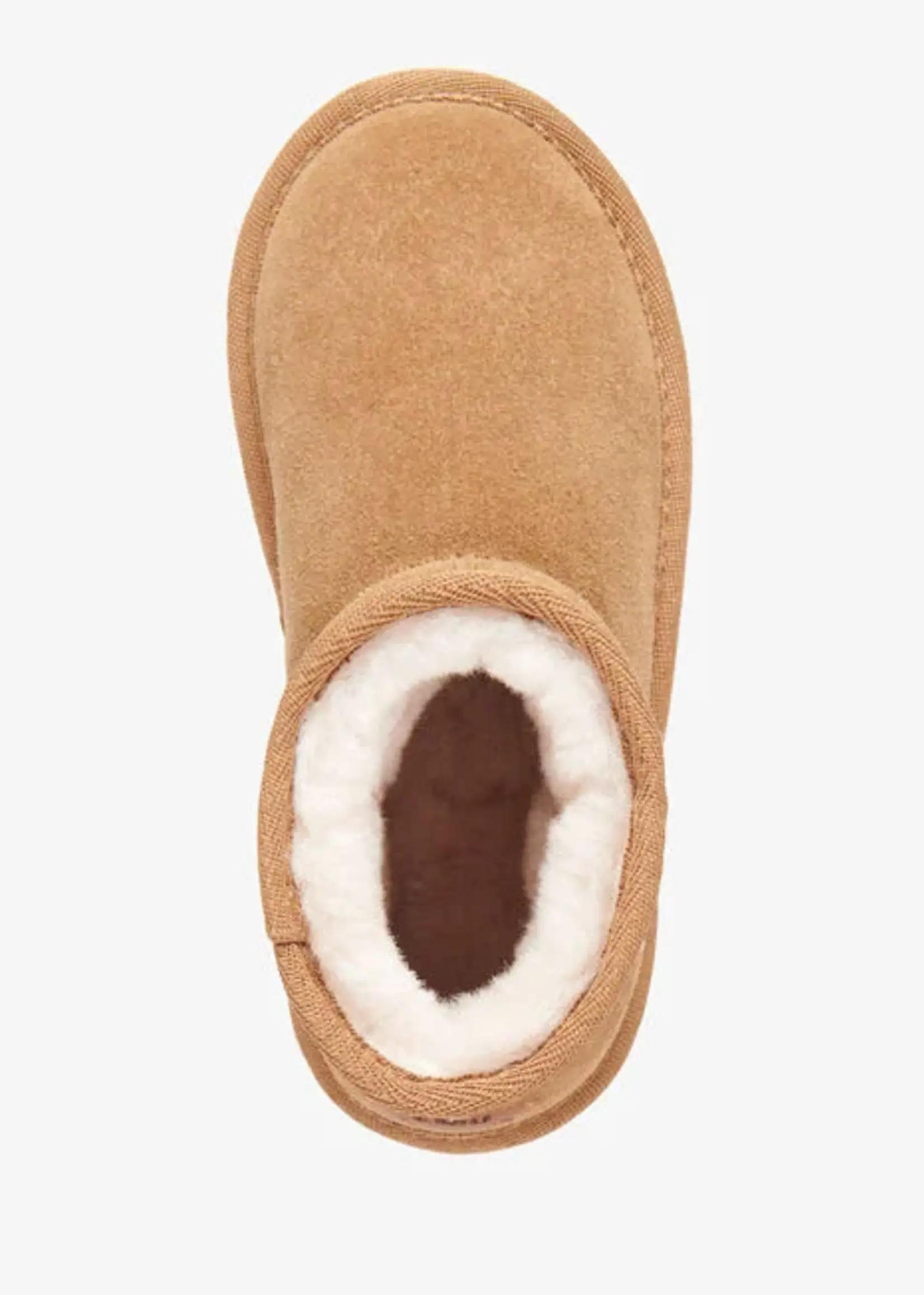 Wallaby Mini - Chestnut