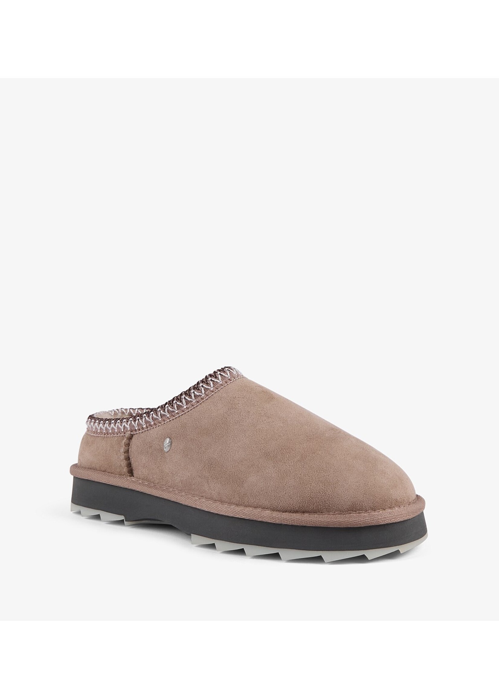 Sharky Scruff - Mushroom