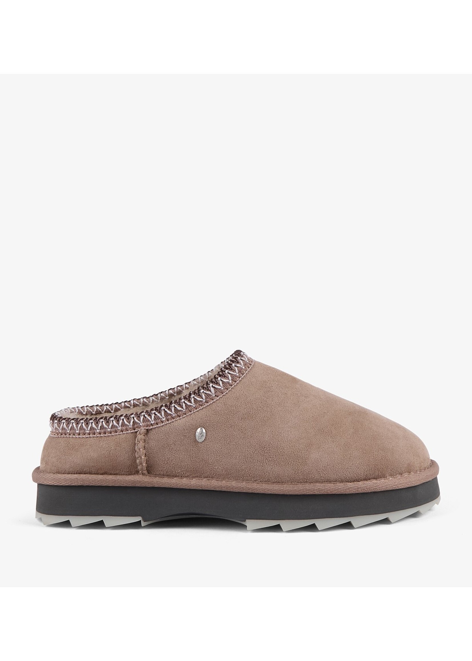 Sharky Scruff - Mushroom