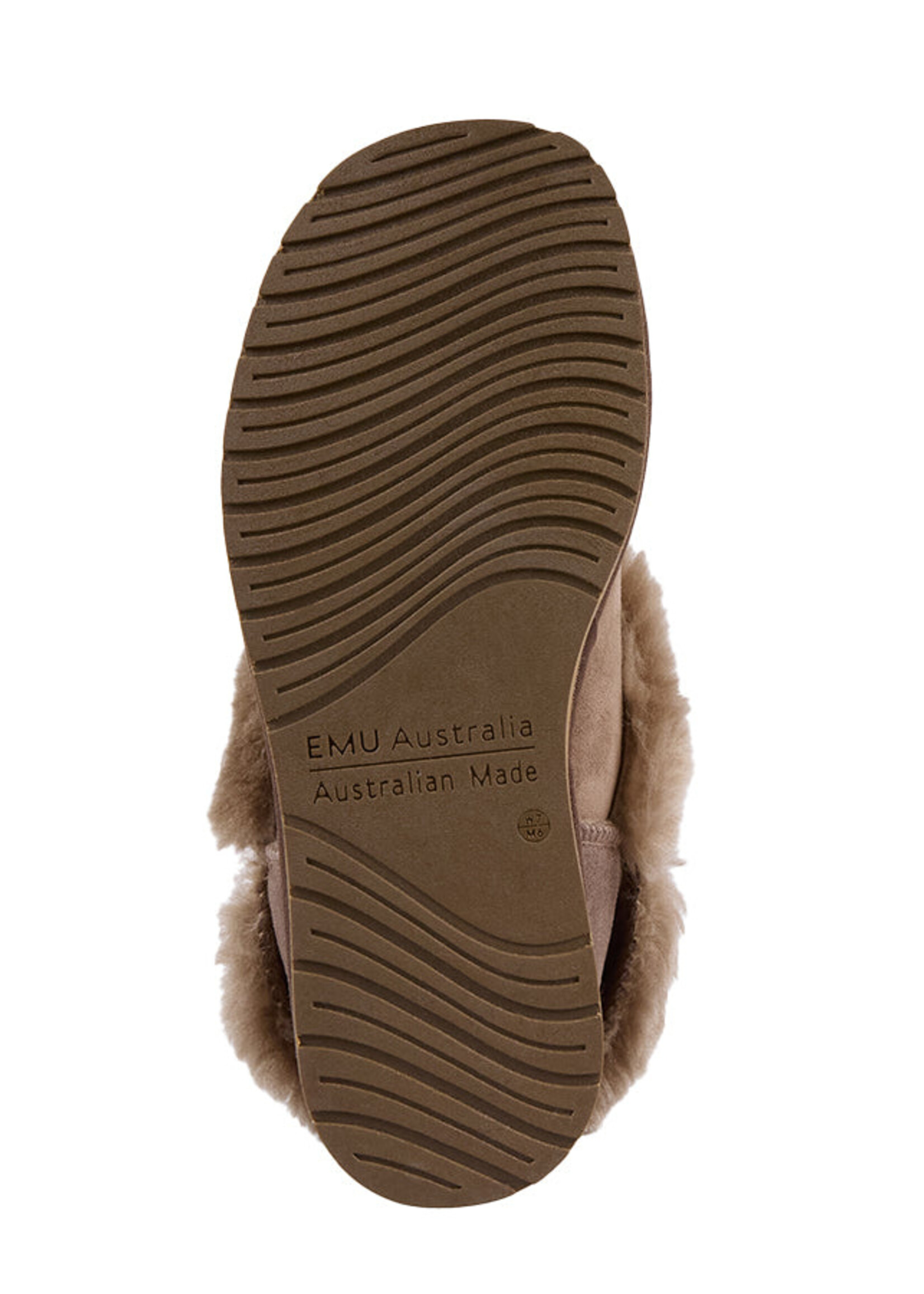 Platinum Mintaro - Mushroom