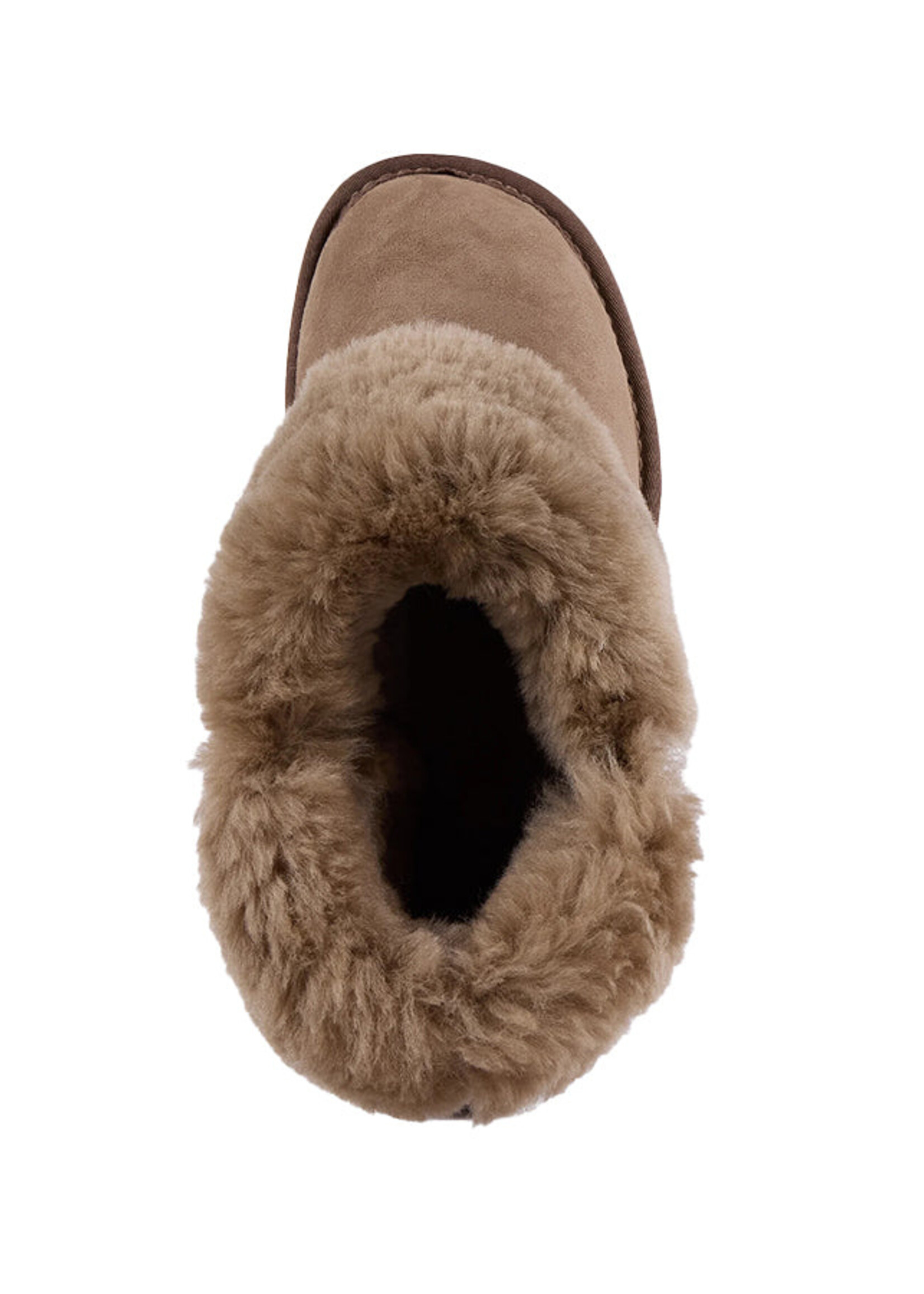 Platinum Mintaro - Mushroom