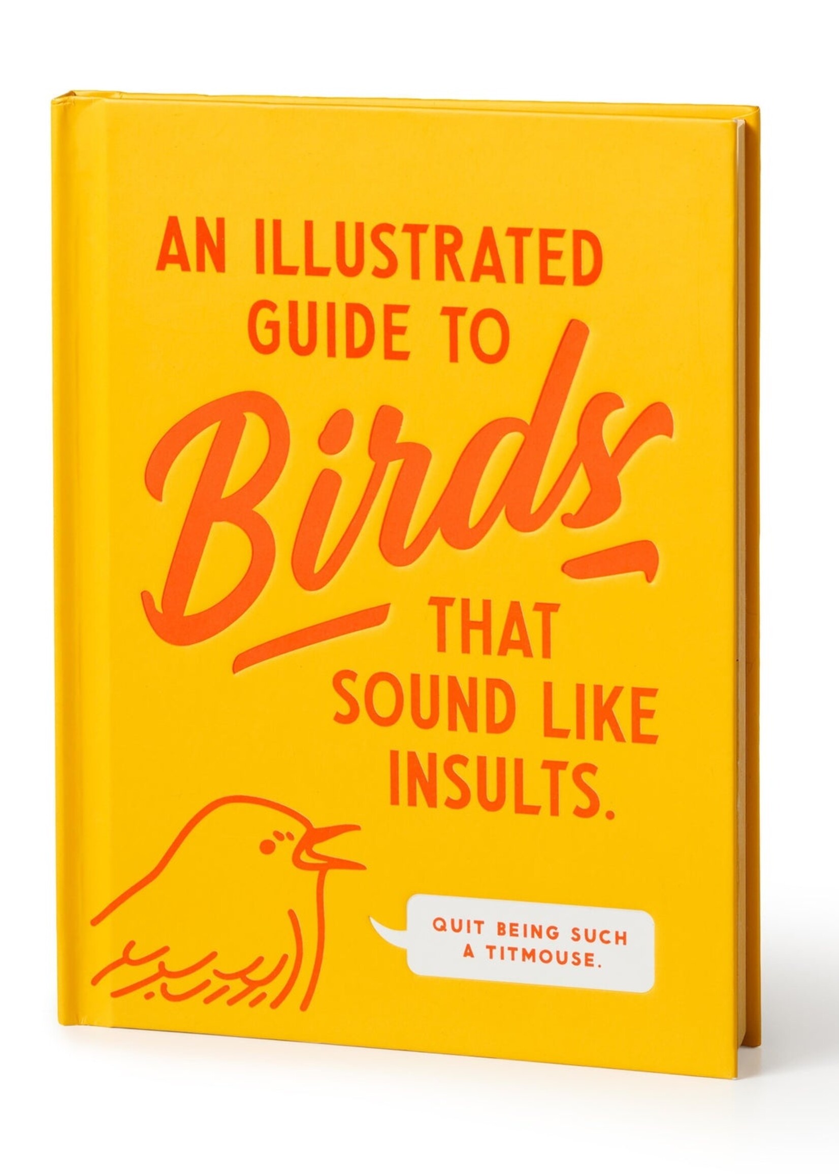 An Illustrated Guide To Birds