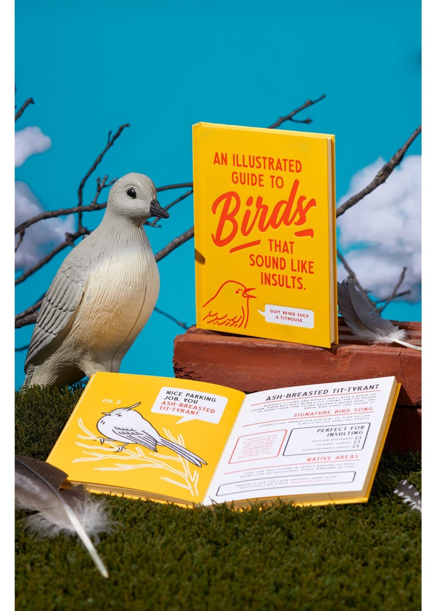 An Illustrated Guide To Birds