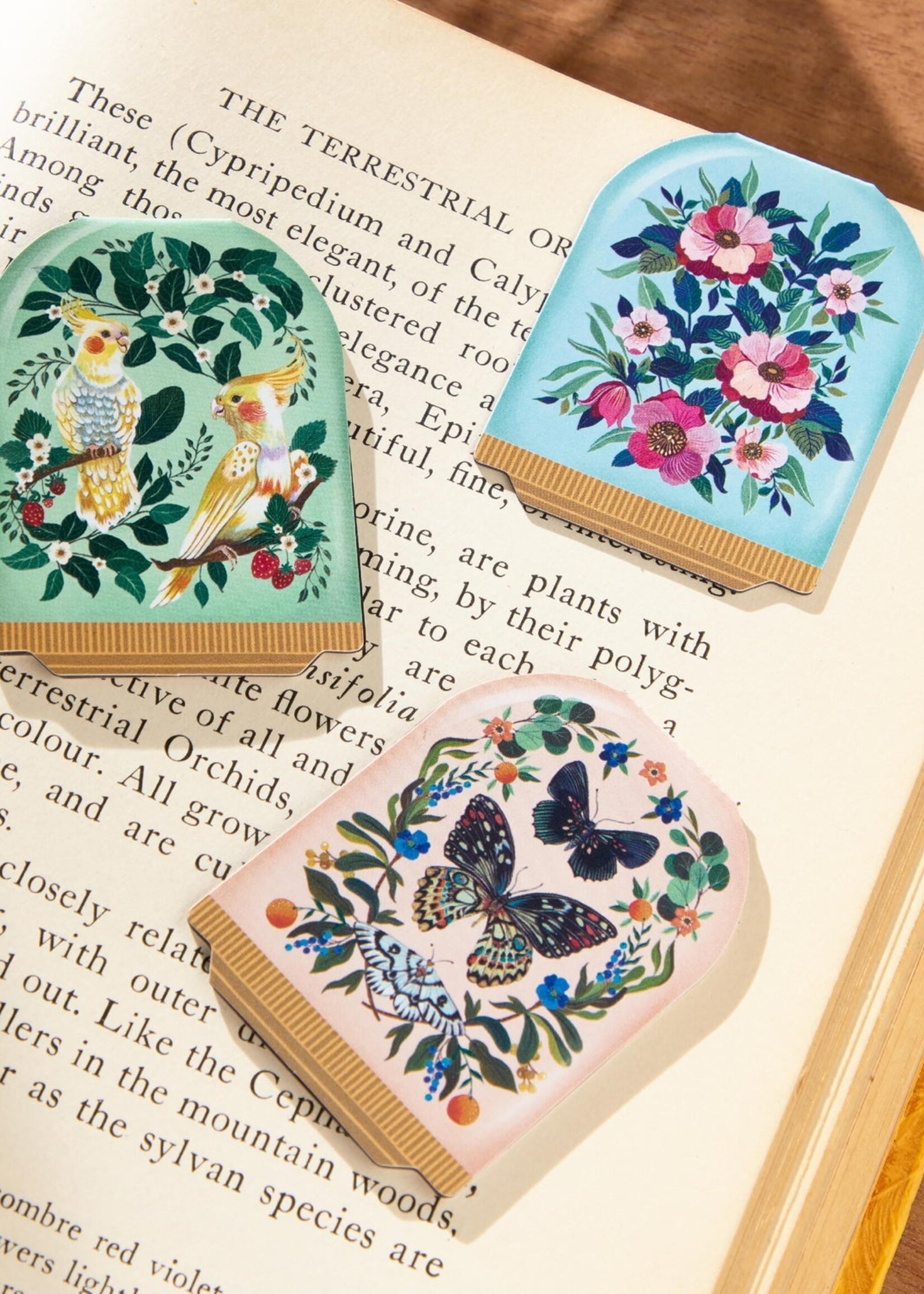 Blooming Terrariums Magnetic
