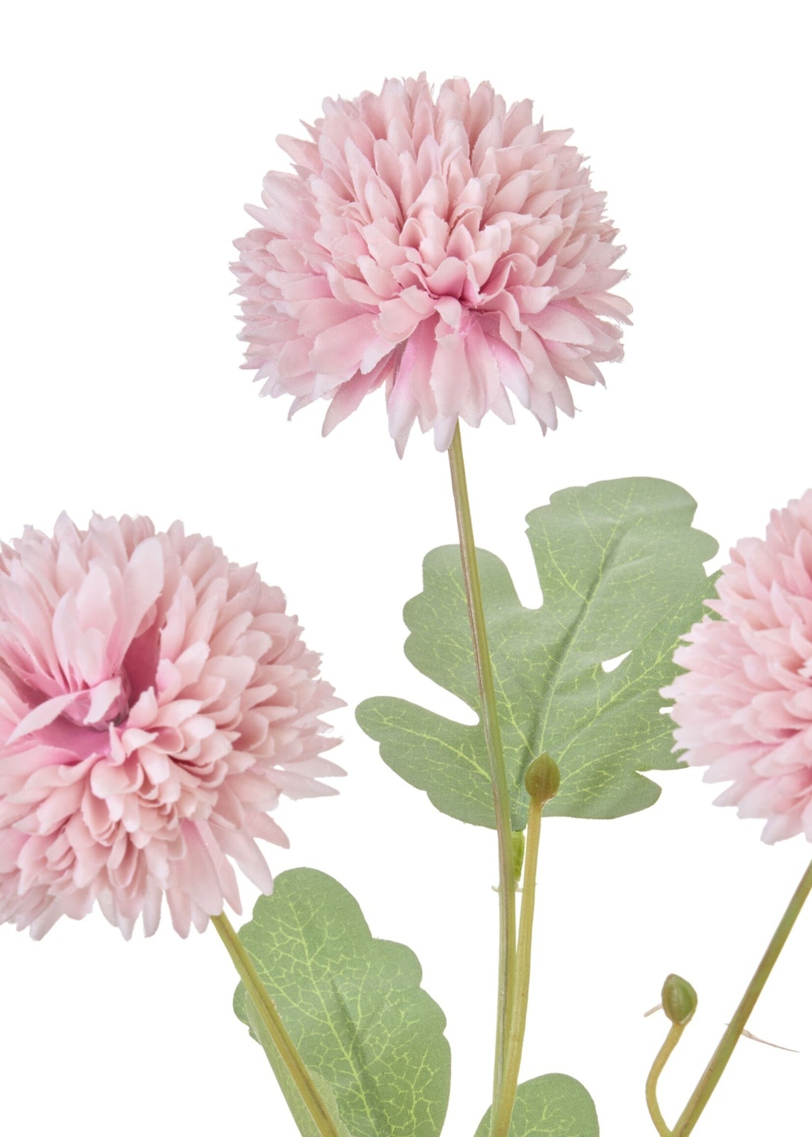 Kiku Milk Bottle 34cm Pink